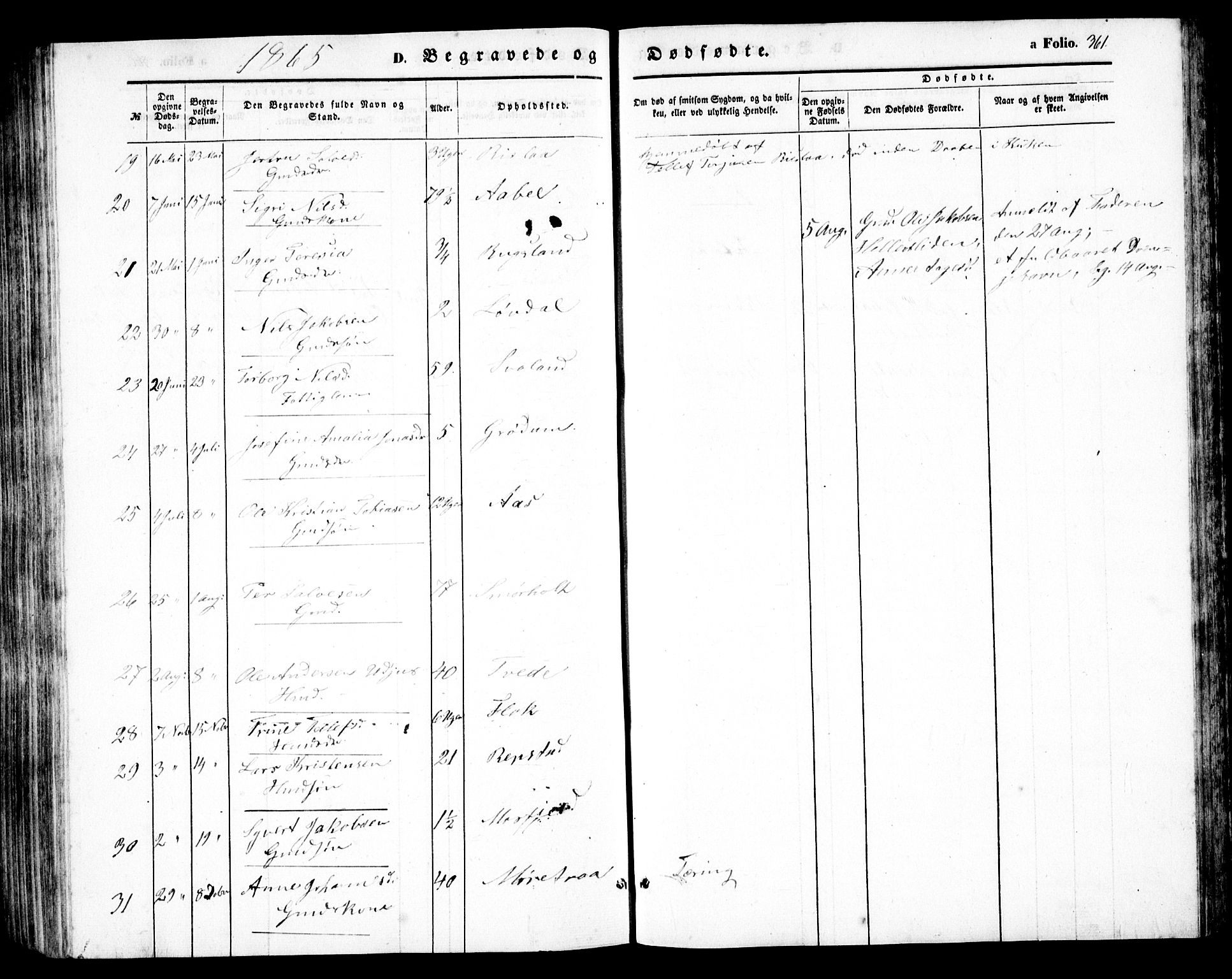 Birkenes sokneprestkontor, AV/SAK-1111-0004/F/Fb/L0002: Parish register (copy) no. B 2, 1849-1876, p. 361