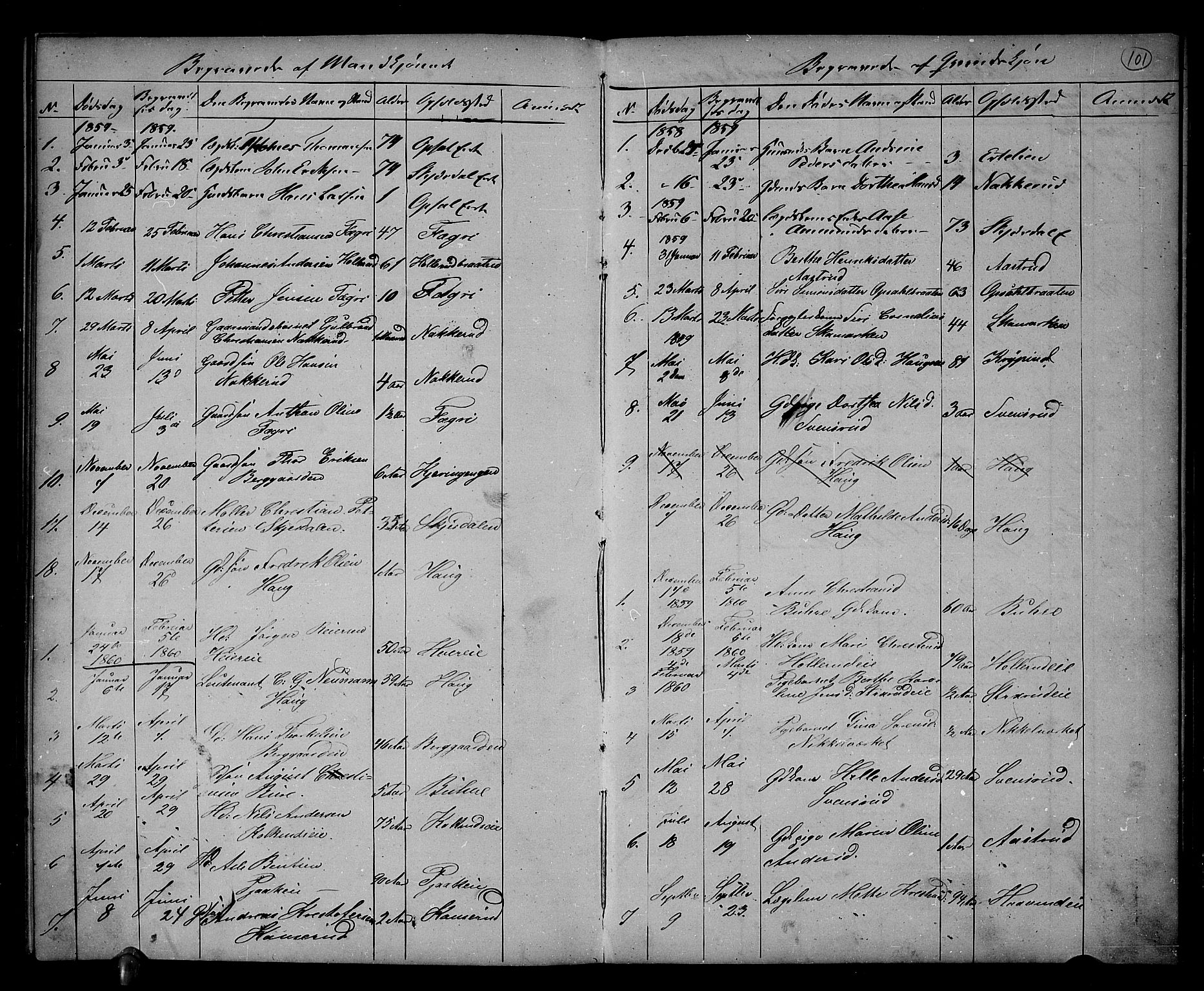 Hole kirkebøker, SAKO/A-228/G/Gb/L0001: Parish register (copy) no. II 1, 1859-1878, p. 101