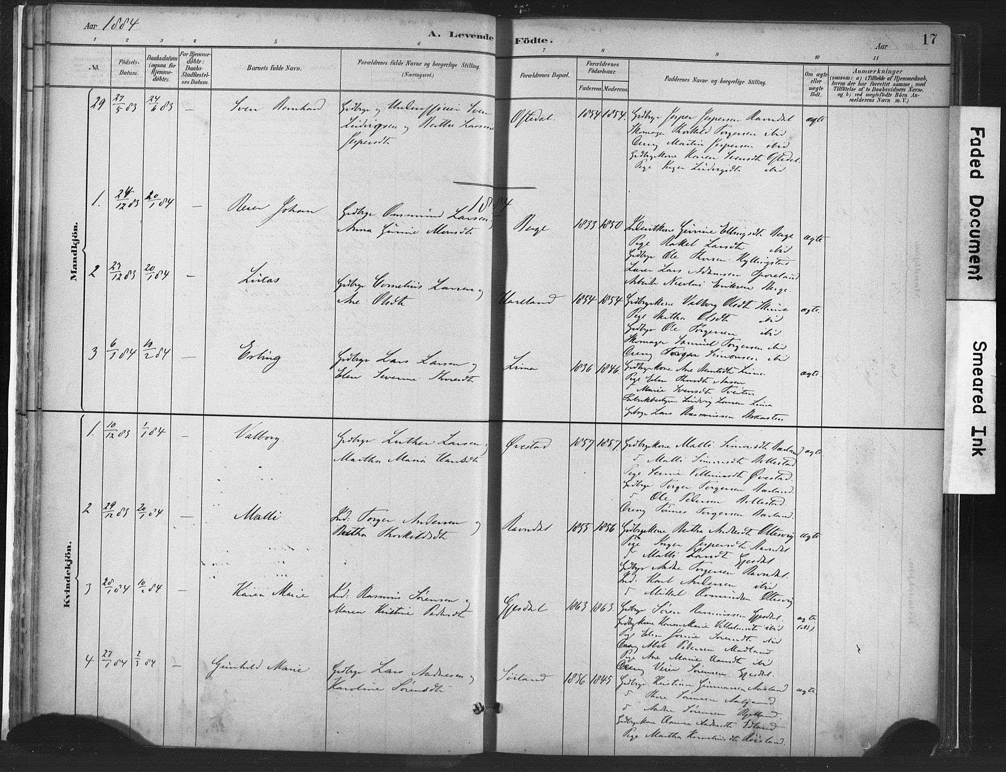 Lye sokneprestkontor, SAST/A-101794/001/30BA/L0010: Parish register (official) no. A 10, 1881-1896, p. 17