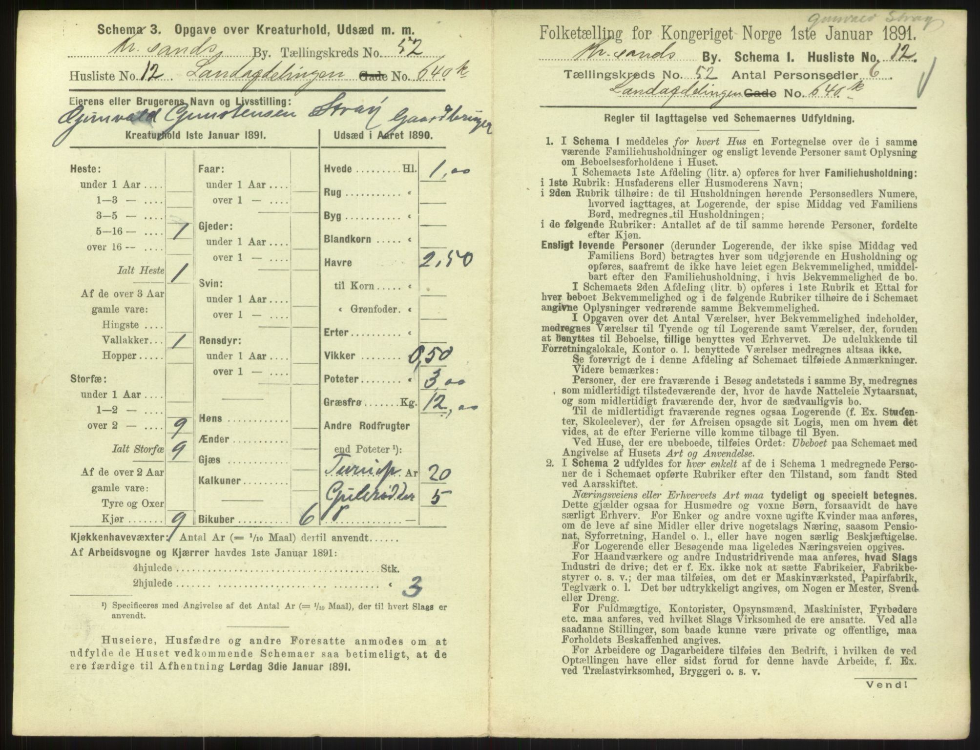 RA, 1891 census for 1001 Kristiansand, 1891, p. 2734