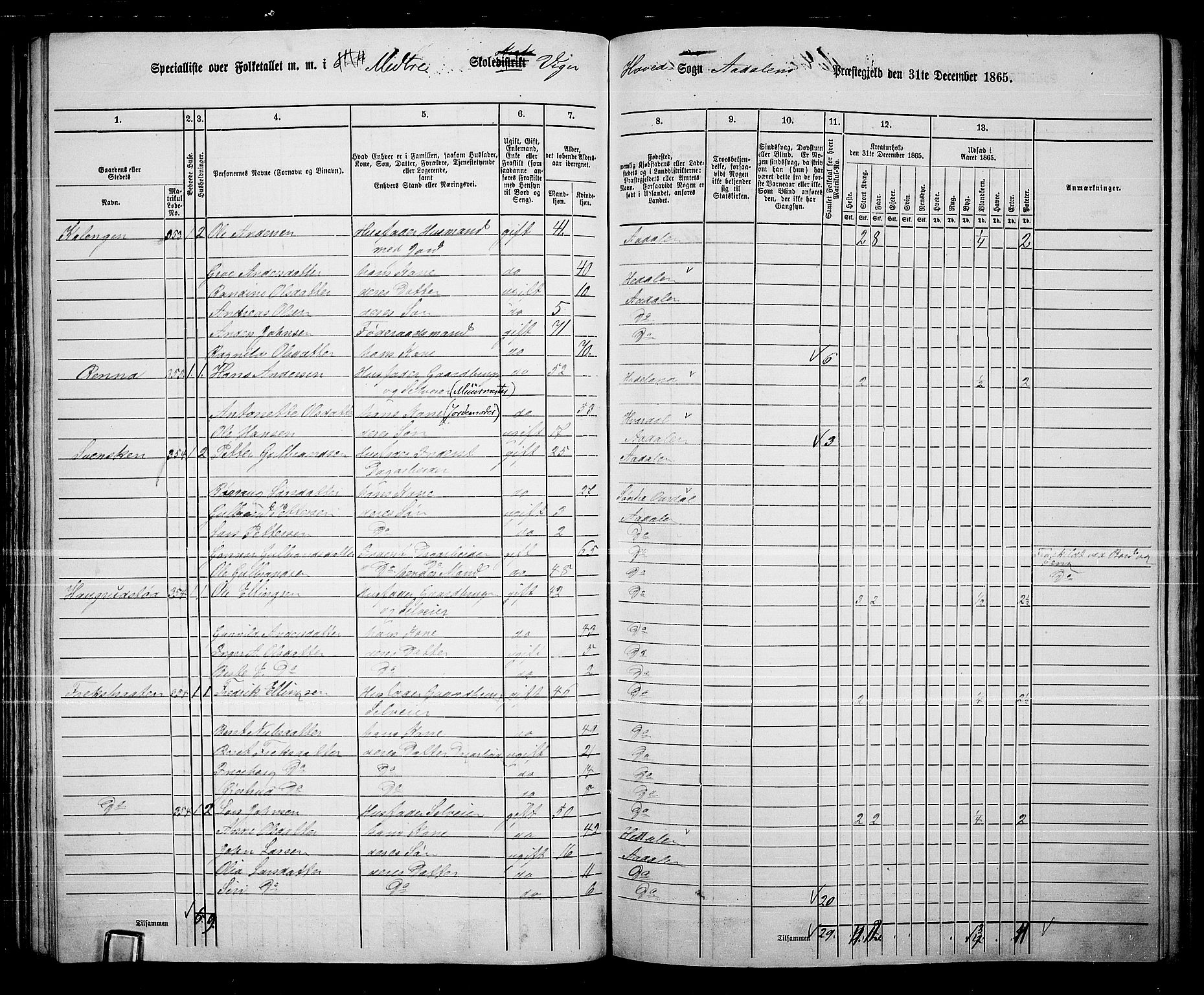 RA, 1865 census for Ådal, 1865, p. 64