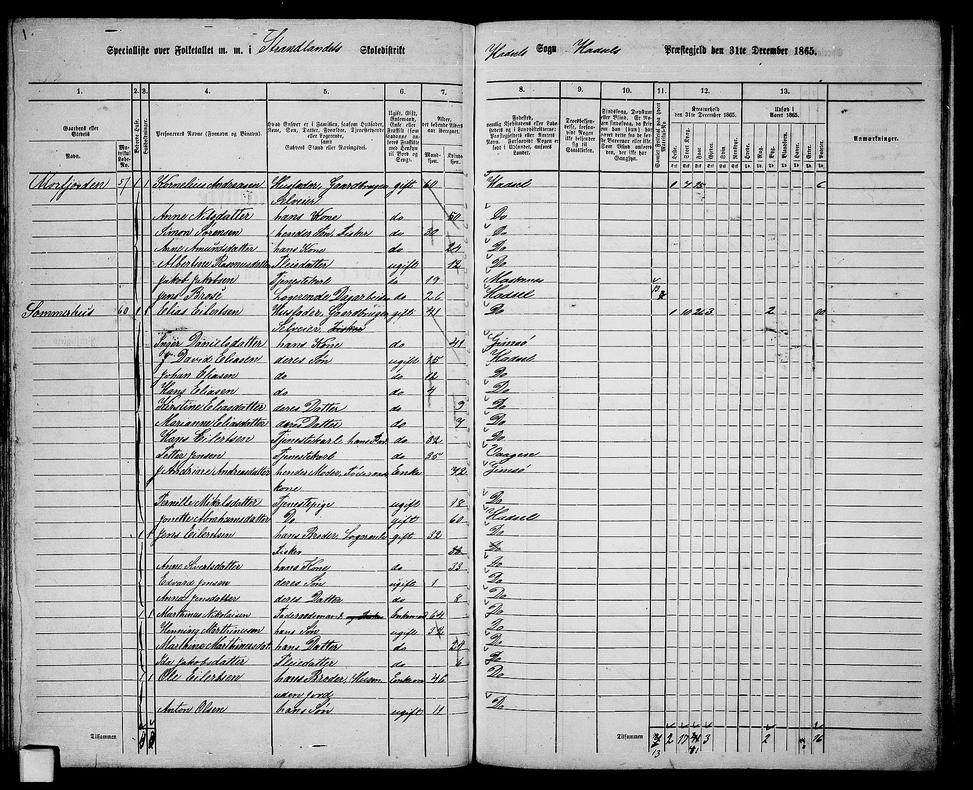 RA, 1865 census for Hadsel, 1865, p. 77