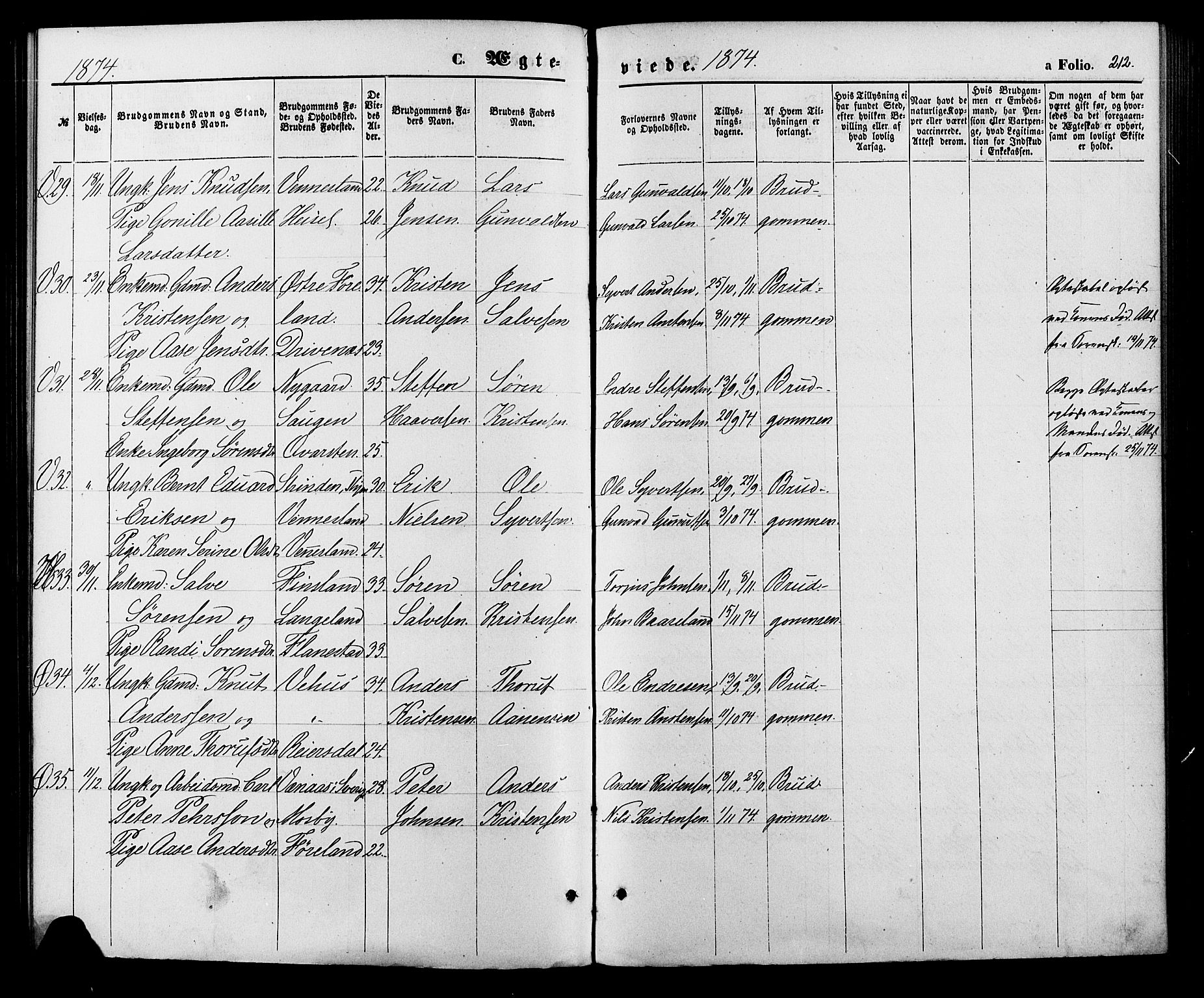 Vennesla sokneprestkontor, AV/SAK-1111-0045/Fa/Fac/L0008: Parish register (official) no. A 8, 1874-1883, p. 212