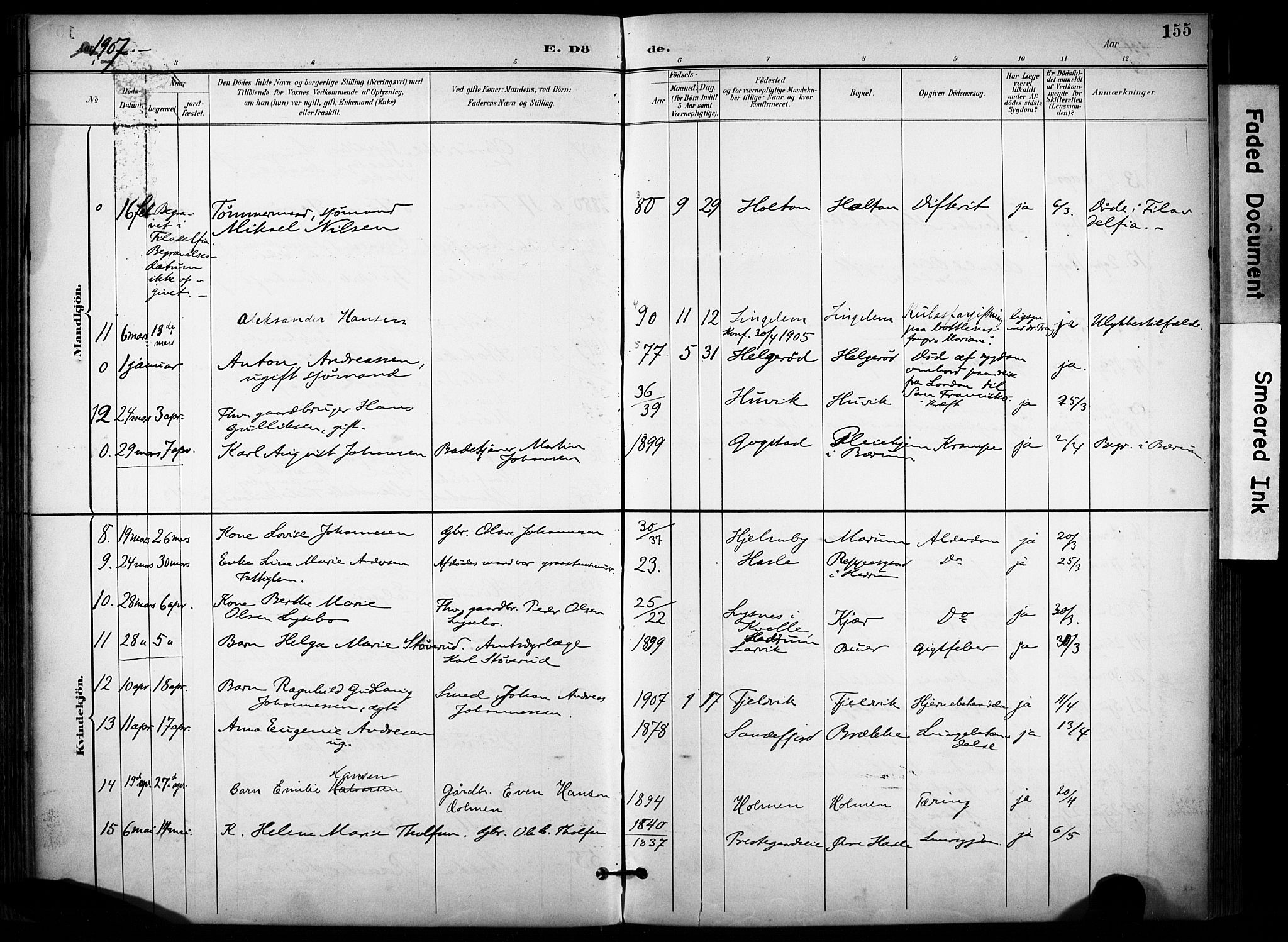 Sandar kirkebøker, AV/SAKO-A-243/F/Fa/L0015: Parish register (official) no. 15, 1896-1907, p. 155