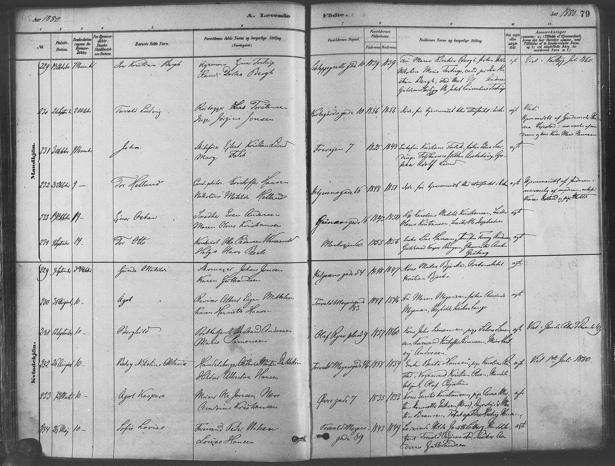 Paulus prestekontor Kirkebøker, AV/SAO-A-10871/F/Fa/L0003: Parish register (official) no. 3, 1879-1887, p. 79