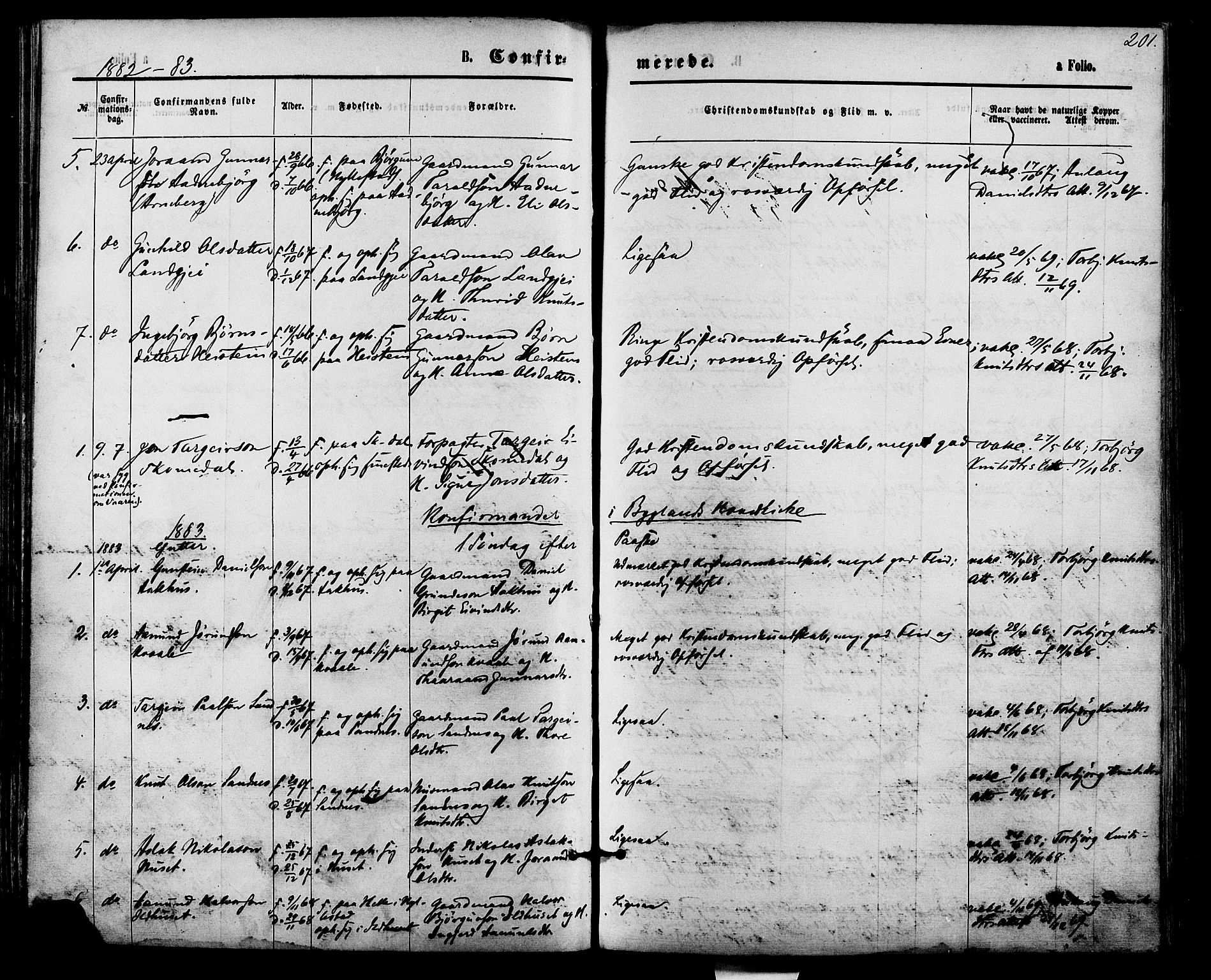 Bygland sokneprestkontor, AV/SAK-1111-0006/F/Fa/Fab/L0006: Parish register (official) no. A 6, 1873-1884, p. 201