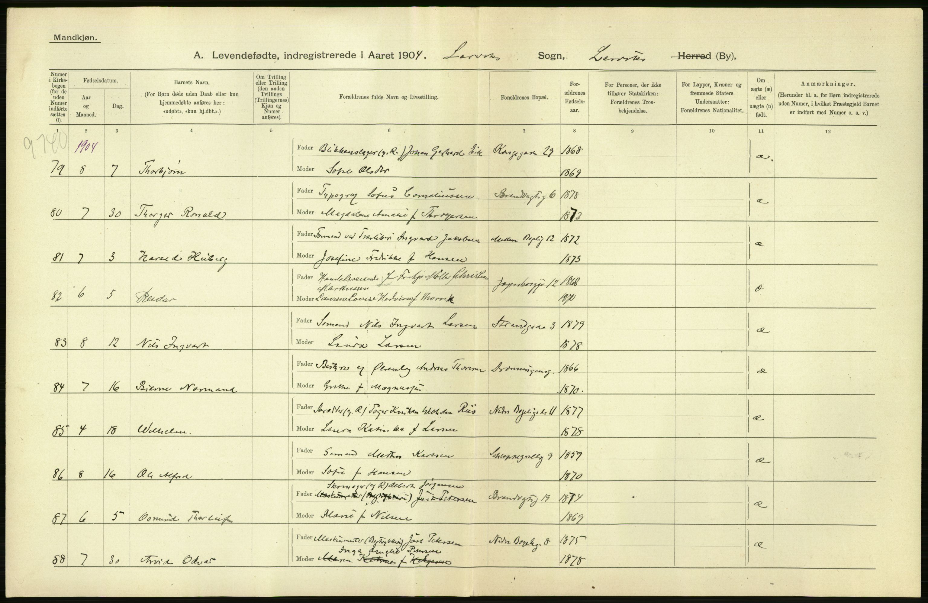 Statistisk sentralbyrå, Sosiodemografiske emner, Befolkning, AV/RA-S-2228/D/Df/Dfa/Dfab/L0008: Jarlsberg og Larvig amt: Fødte, gifte, døde, 1904, p. 270