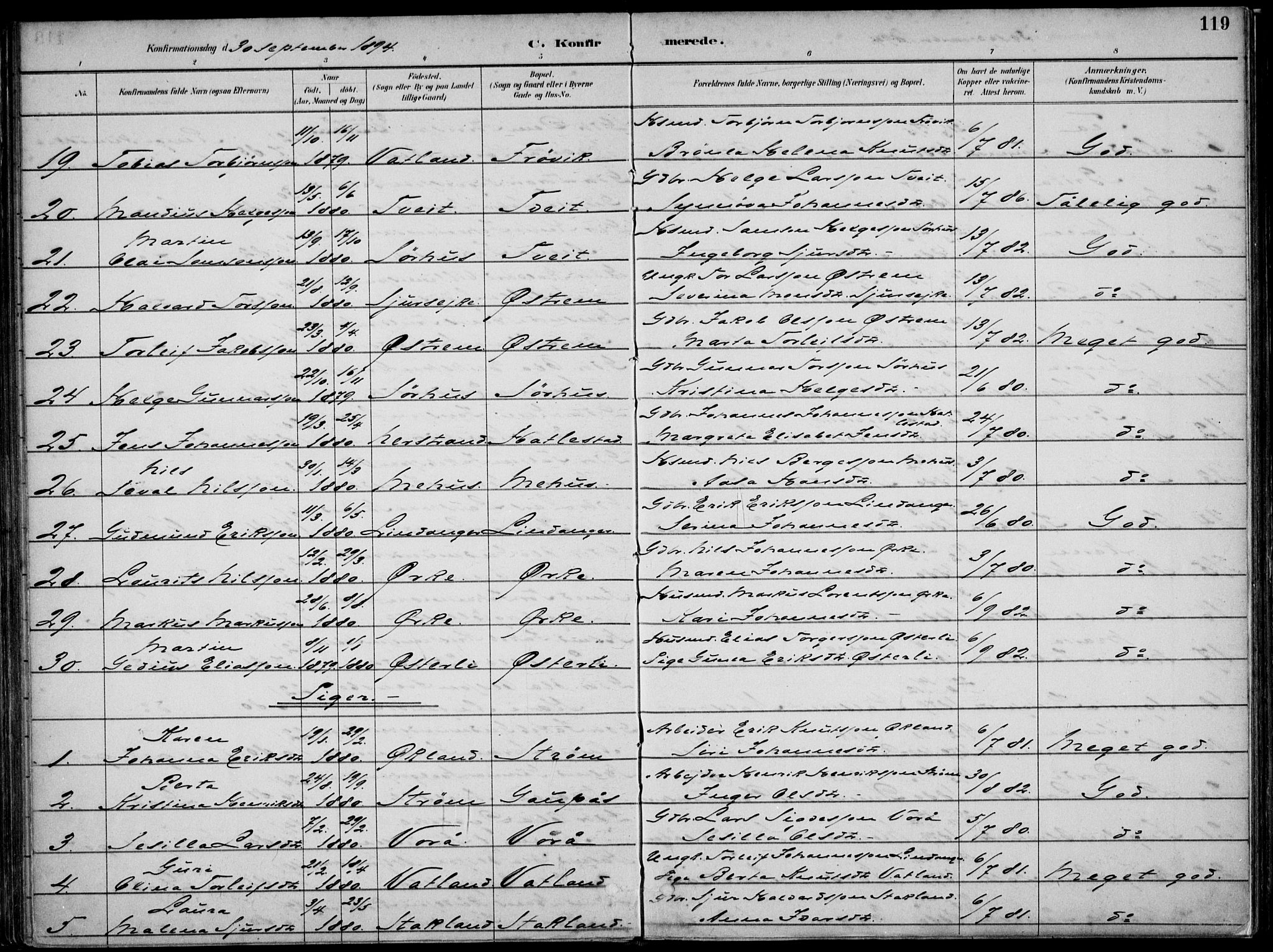 Skjold sokneprestkontor, SAST/A-101847/H/Ha/Haa/L0010: Parish register (official) no. A 10, 1882-1897, p. 119