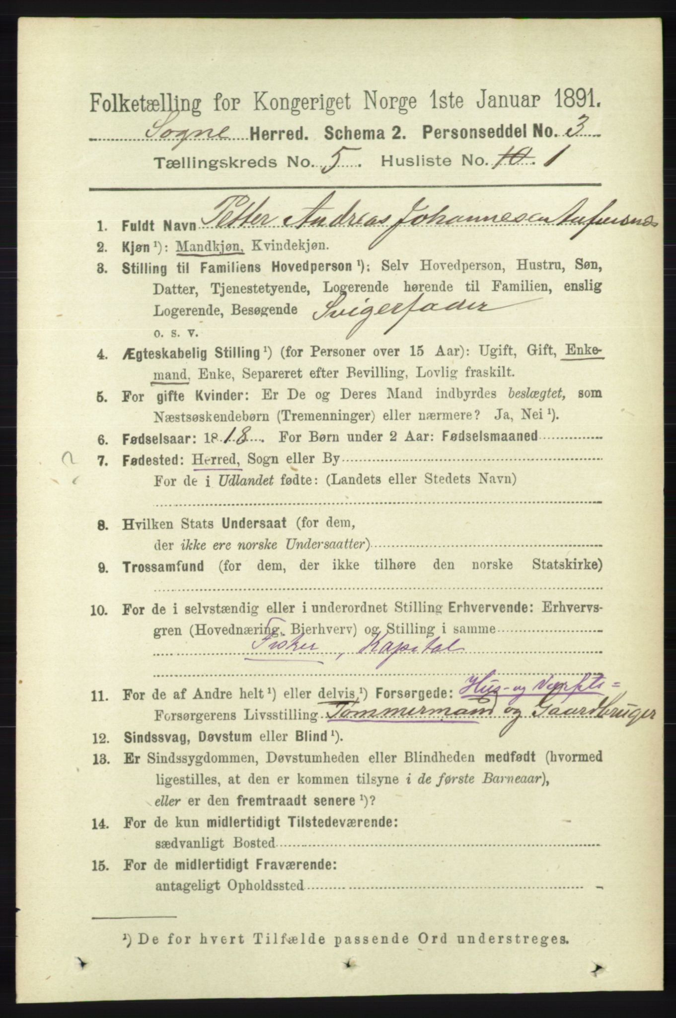 RA, 1891 census for 1018 Søgne, 1891, p. 910