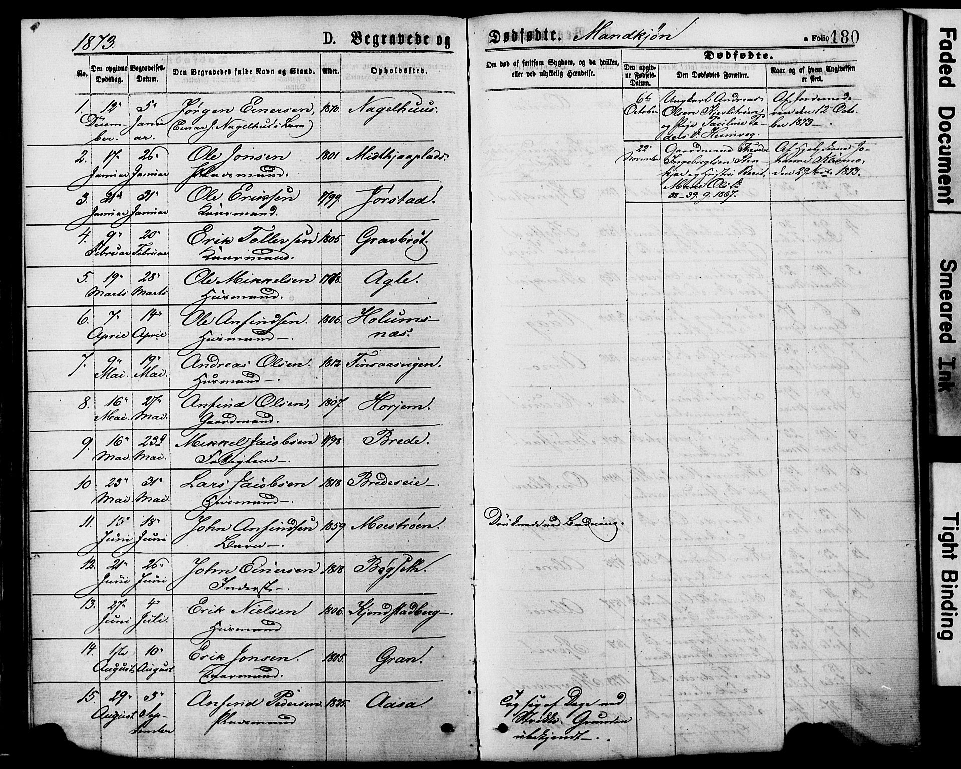 Ministerialprotokoller, klokkerbøker og fødselsregistre - Nord-Trøndelag, SAT/A-1458/749/L0473: Parish register (official) no. 749A07, 1873-1887, p. 180