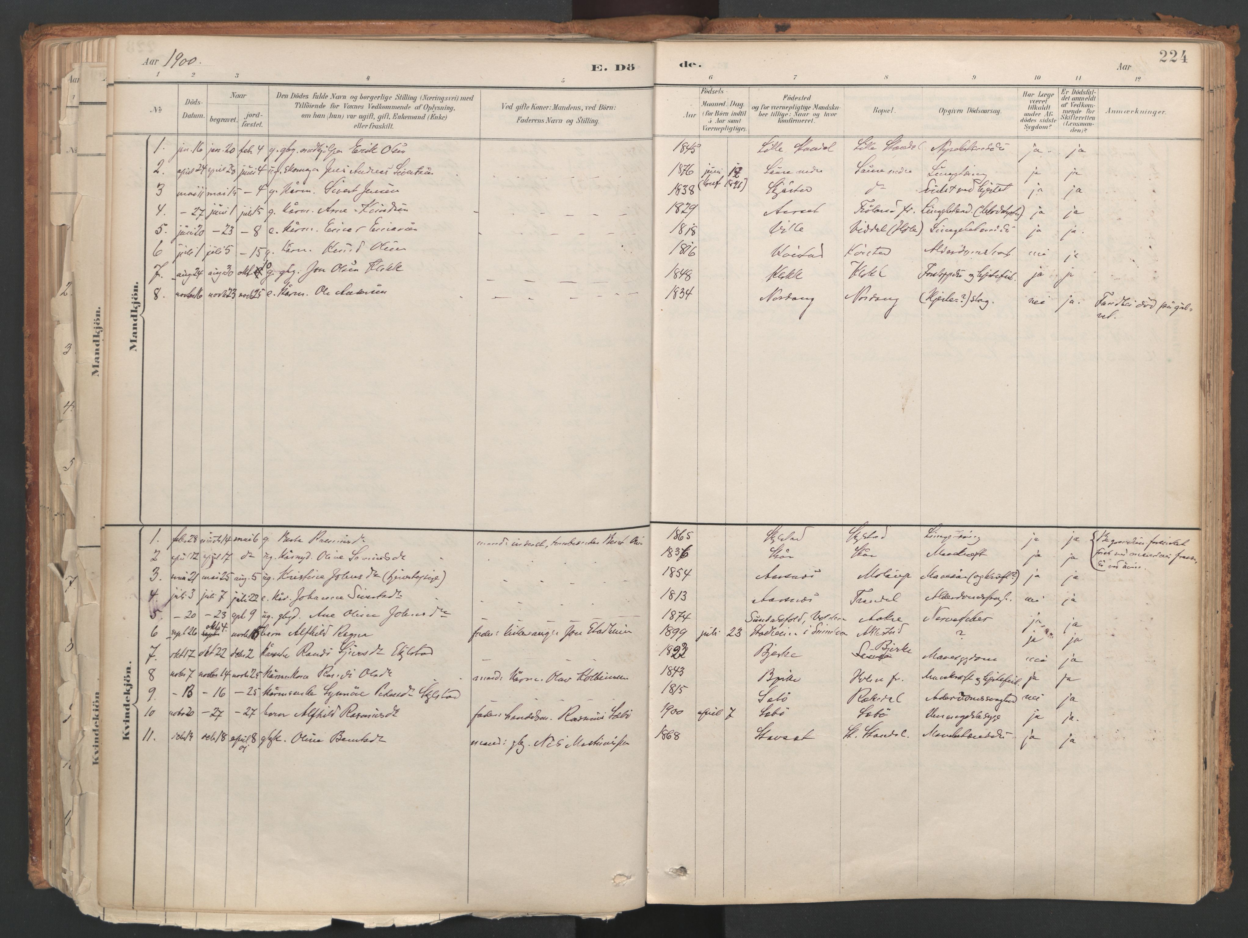 Ministerialprotokoller, klokkerbøker og fødselsregistre - Møre og Romsdal, AV/SAT-A-1454/515/L0211: Parish register (official) no. 515A07, 1886-1910, p. 224