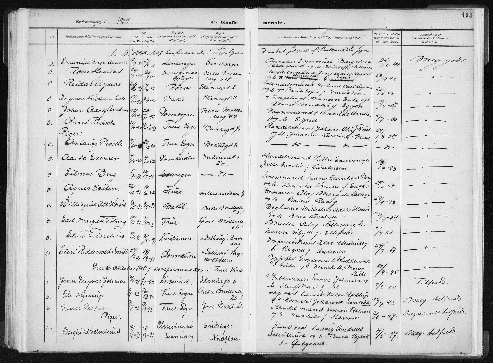Ministerialprotokoller, klokkerbøker og fødselsregistre - Sør-Trøndelag, SAT/A-1456/604/L0200: Parish register (official) no. 604A20II, 1901-1908, p. 495