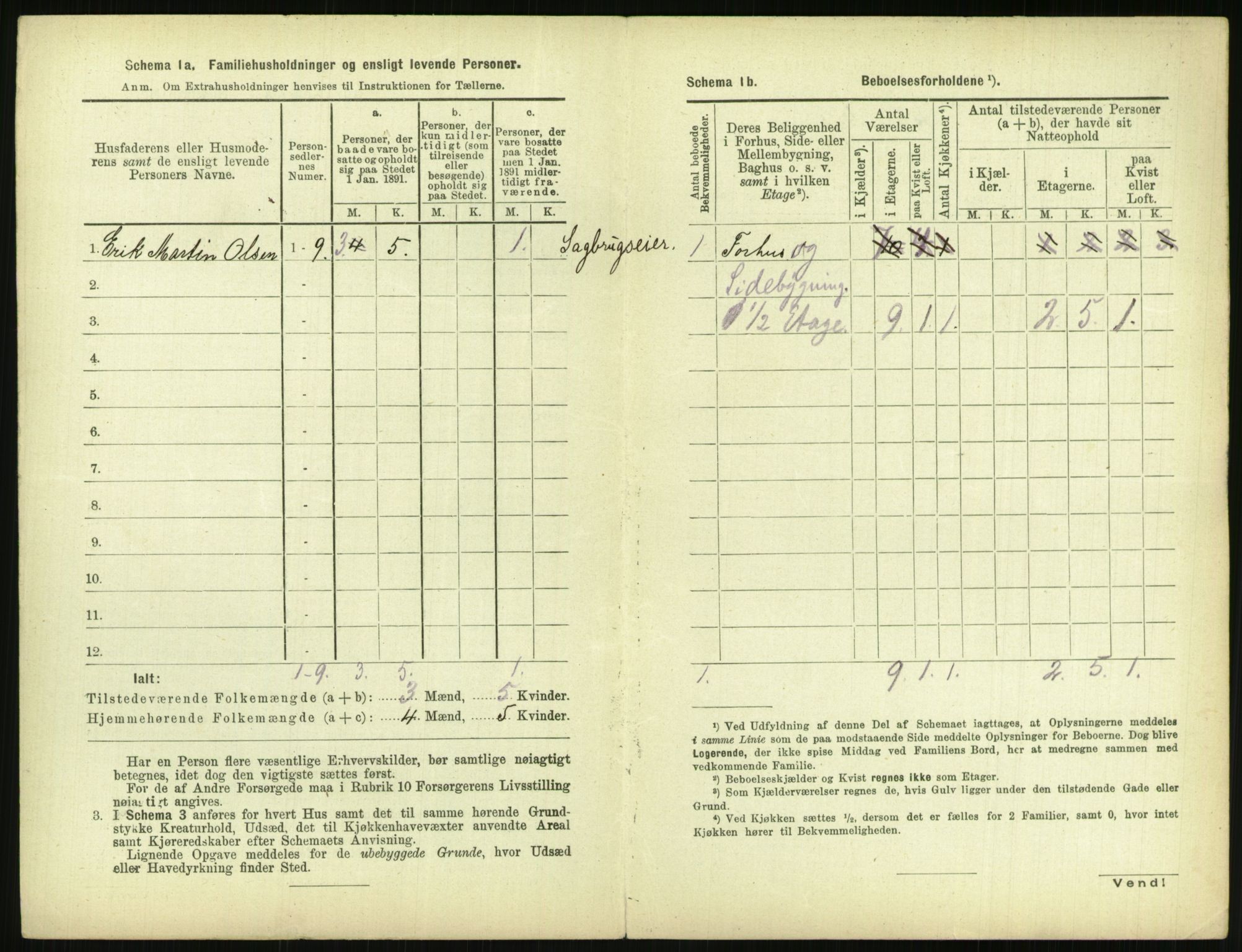 RA, 1891 census for 0806 Skien, 1891, p. 1529