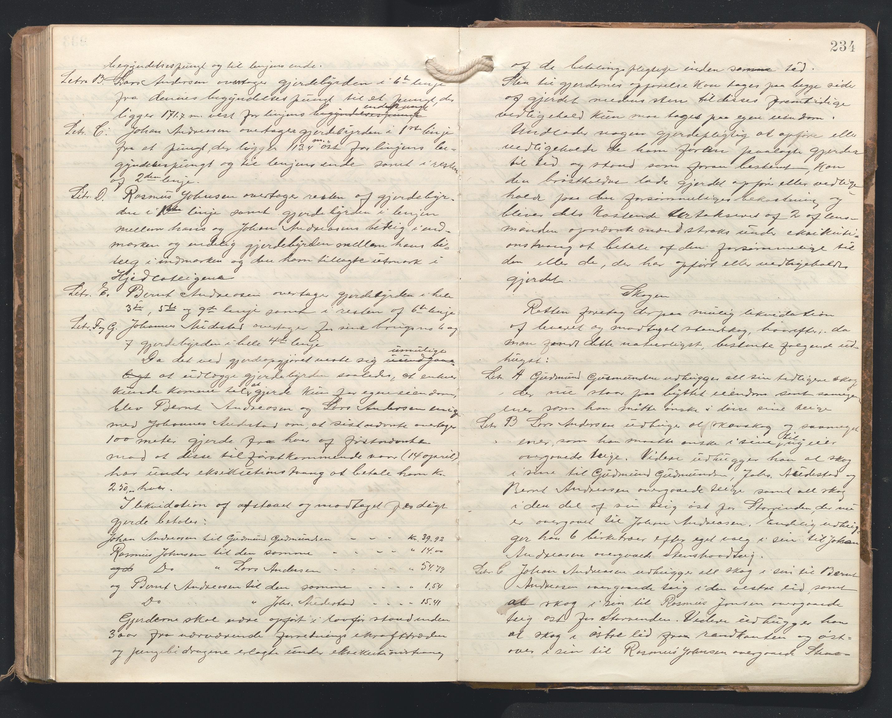 Hordaland jordskiftedøme - I Nordhordland jordskiftedistrikt, AV/SAB-A-6801/A/Aa/L0020: Forhandlingsprotokoll, 1913-1919, p. 233b-234a