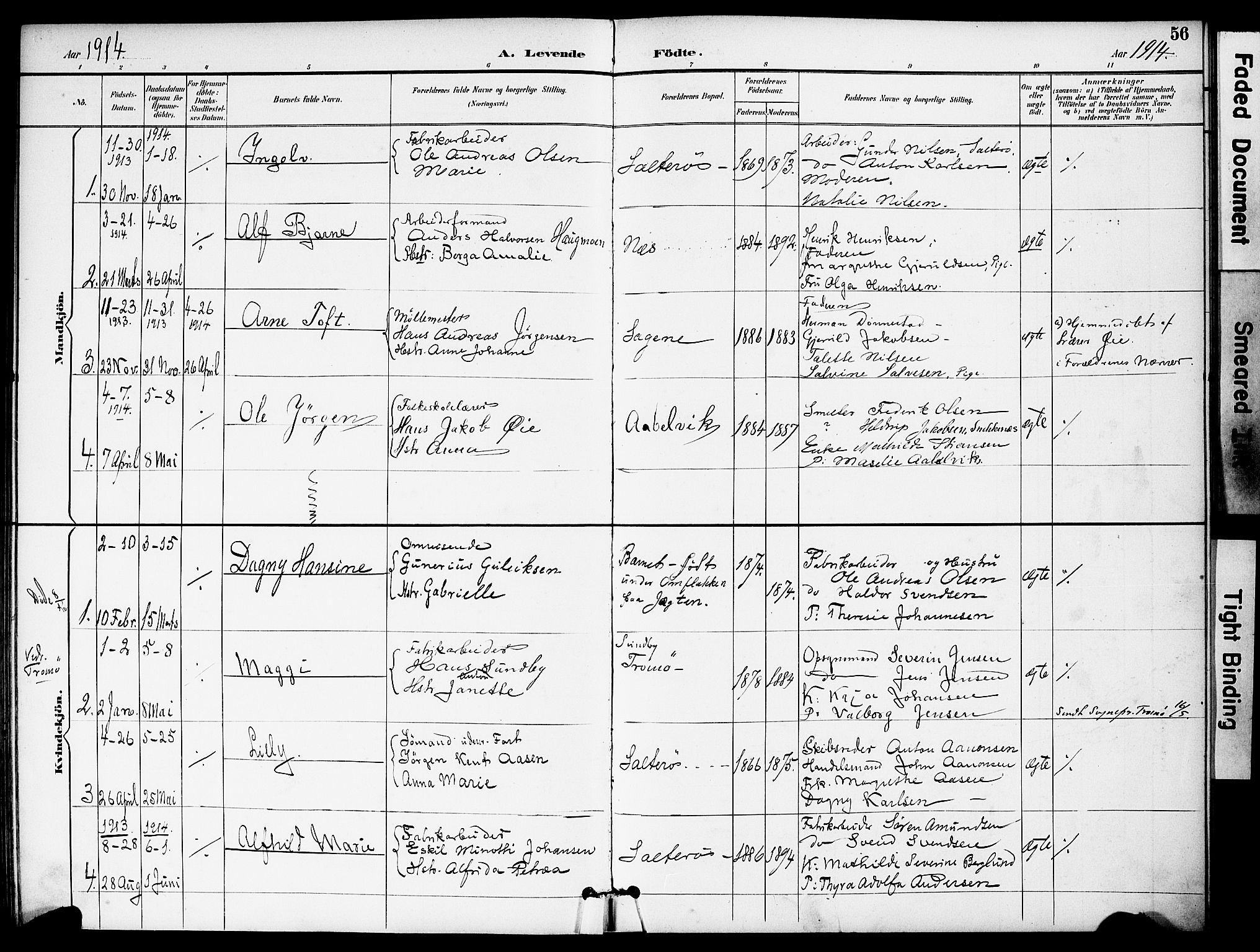 Austre Moland sokneprestkontor, AV/SAK-1111-0001/F/Fa/Fab/L0002: Parish register (official) no. A 2, 1894-1919, p. 56