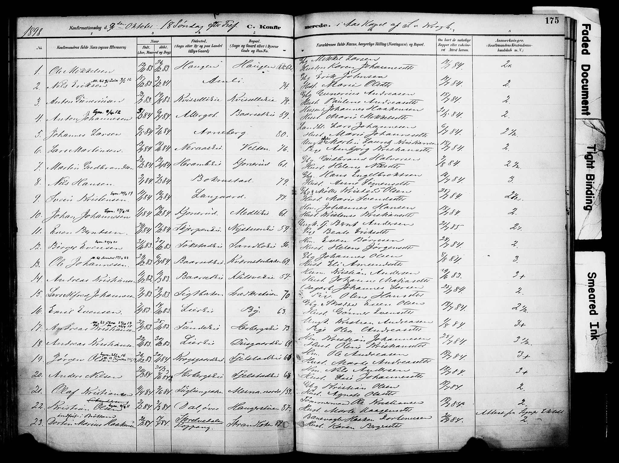 Ringsaker prestekontor, AV/SAH-PREST-014/K/Ka/L0017: Parish register (official) no. 17, 1891-1902, p. 175