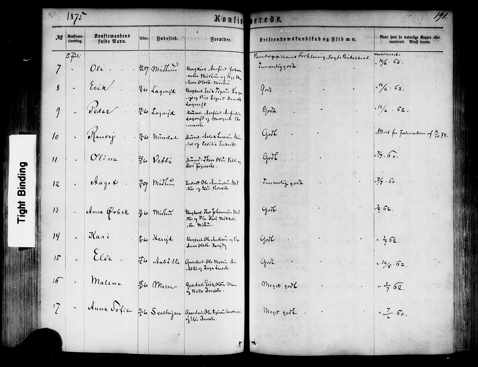 Årdal sokneprestembete, SAB/A-81701: Parish register (official) no. A 3, 1863-1886, p. 191