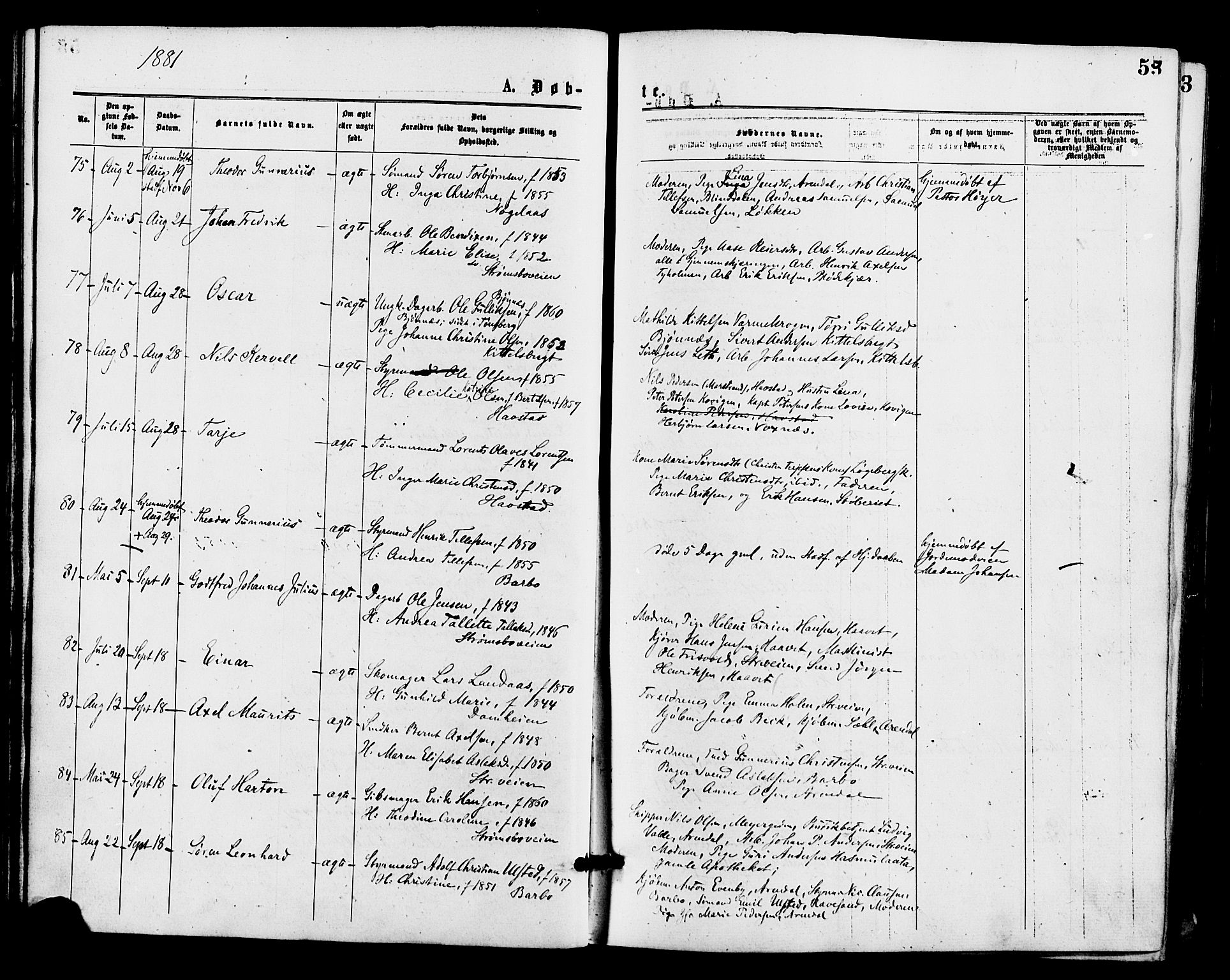 Barbu sokneprestkontor, AV/SAK-1111-0003/F/Fa/L0001: Parish register (official) no. A 1 /1, 1878-1883, p. 55