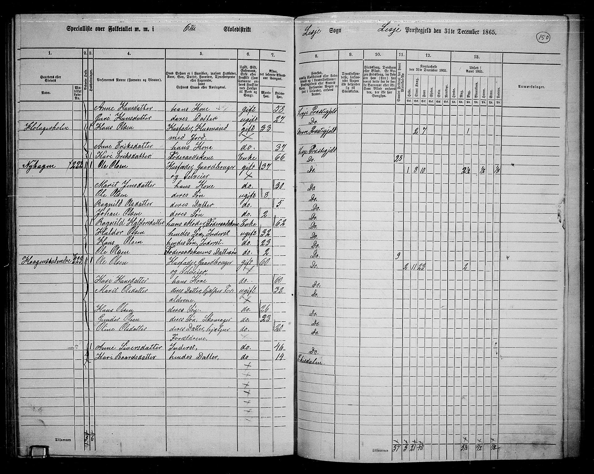 RA, 1865 census for Lesja, 1865, p. 137