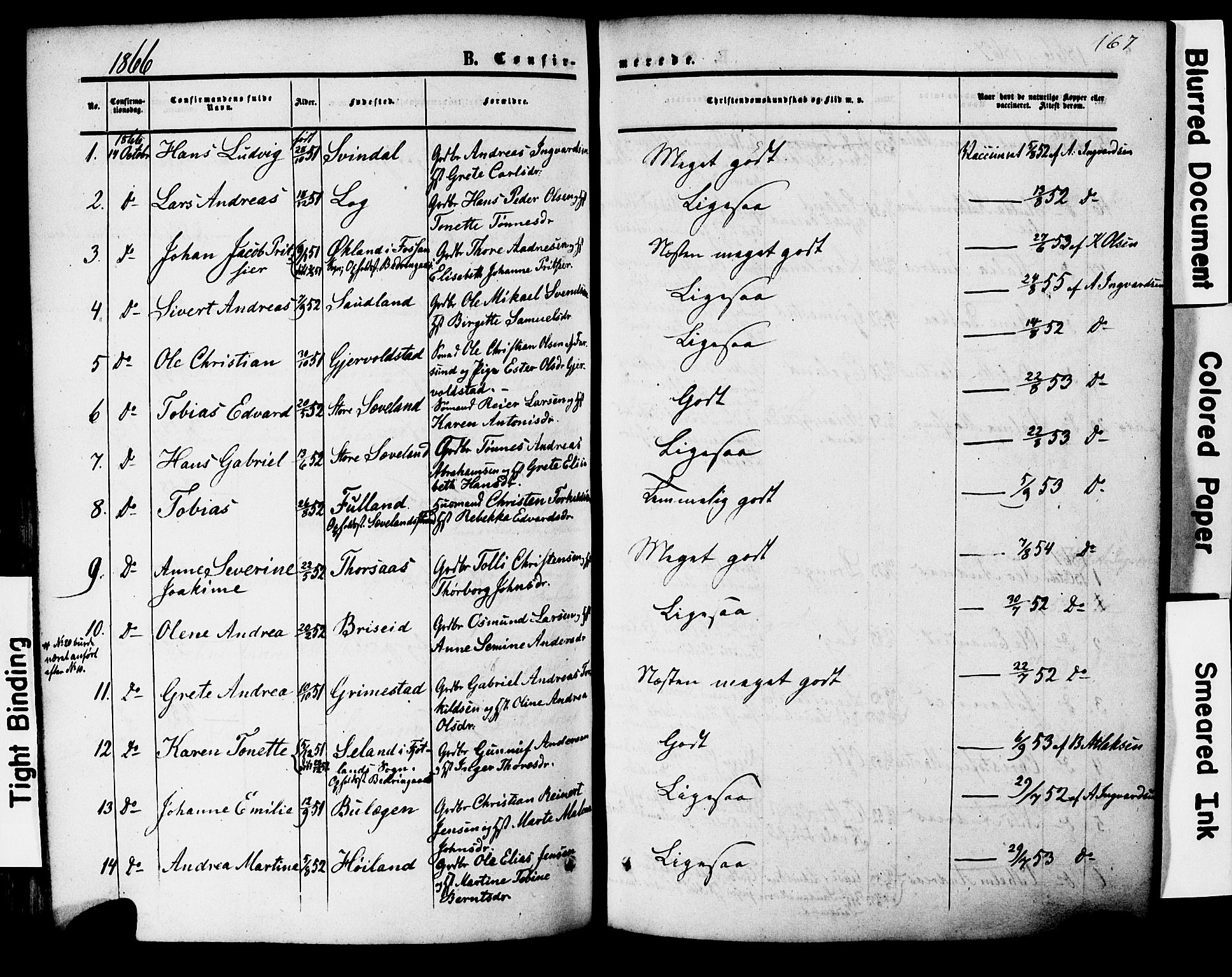 Herad sokneprestkontor, AV/SAK-1111-0018/F/Fa/Faa/L0005: Parish register (official) no. A 5, 1853-1886, p. 167