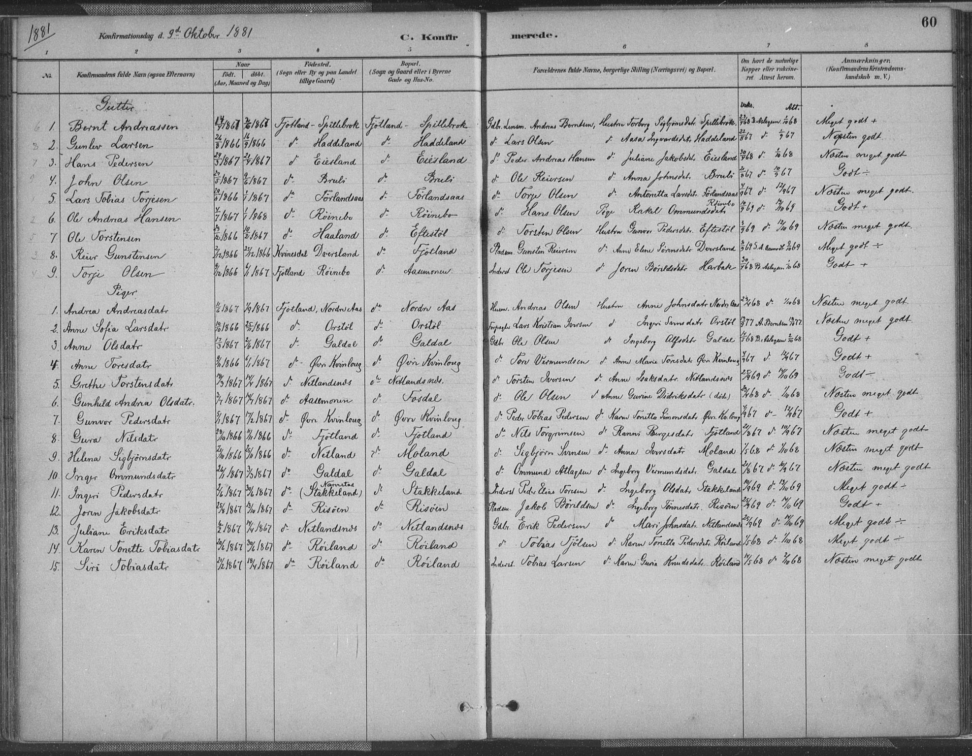 Fjotland sokneprestkontor, SAK/1111-0010/F/Fa/L0002: Parish register (official) no. A 2, 1880-1898, p. 60