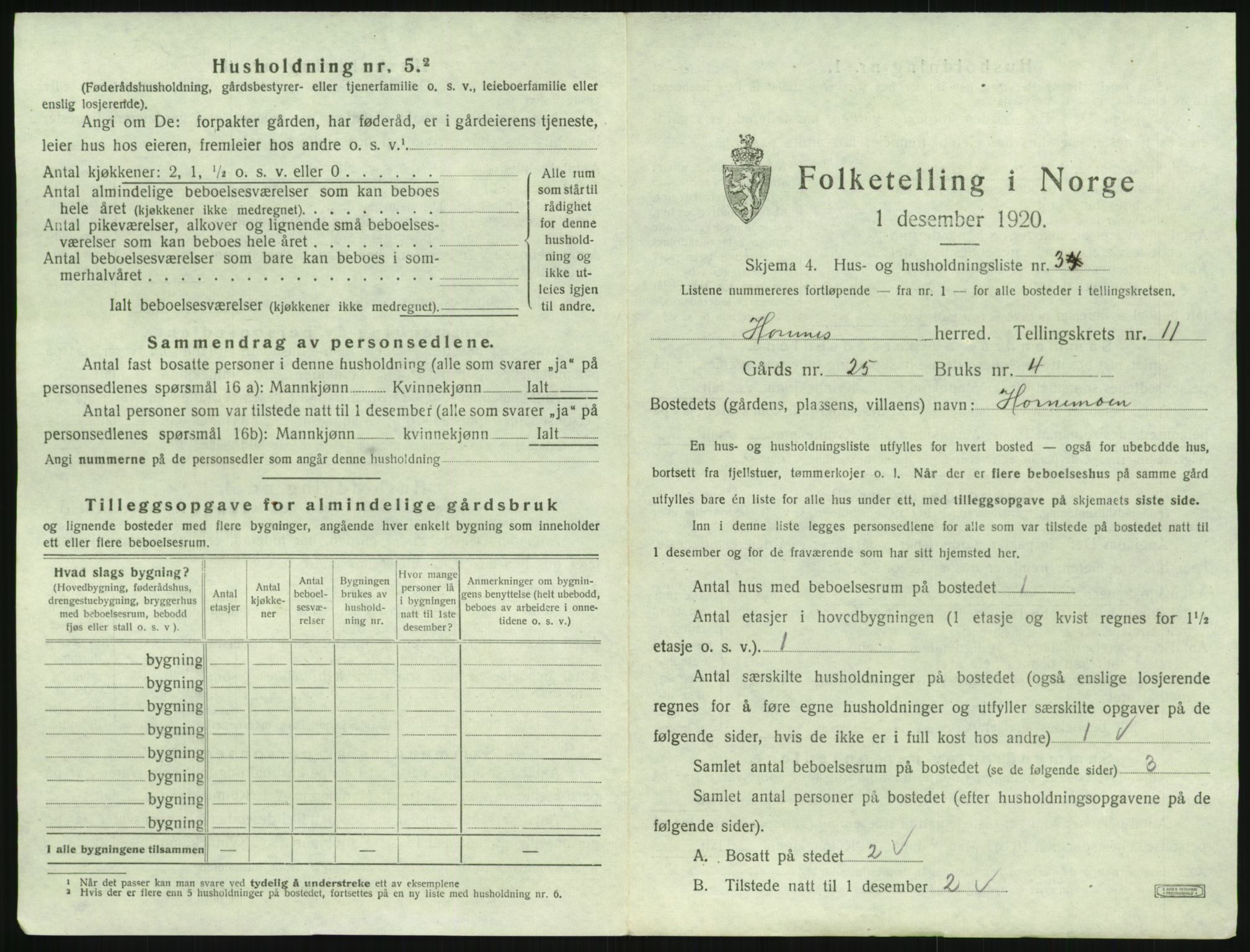 SAK, 1920 census for Hornnes, 1920, p. 435