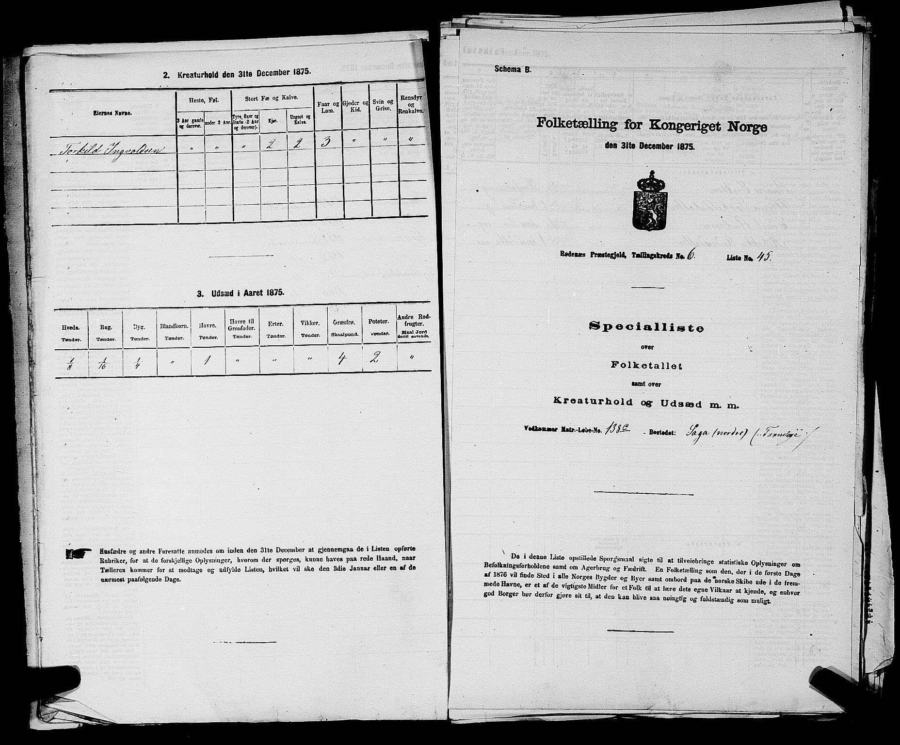 RA, 1875 census for 0120P Rødenes, 1875, p. 810