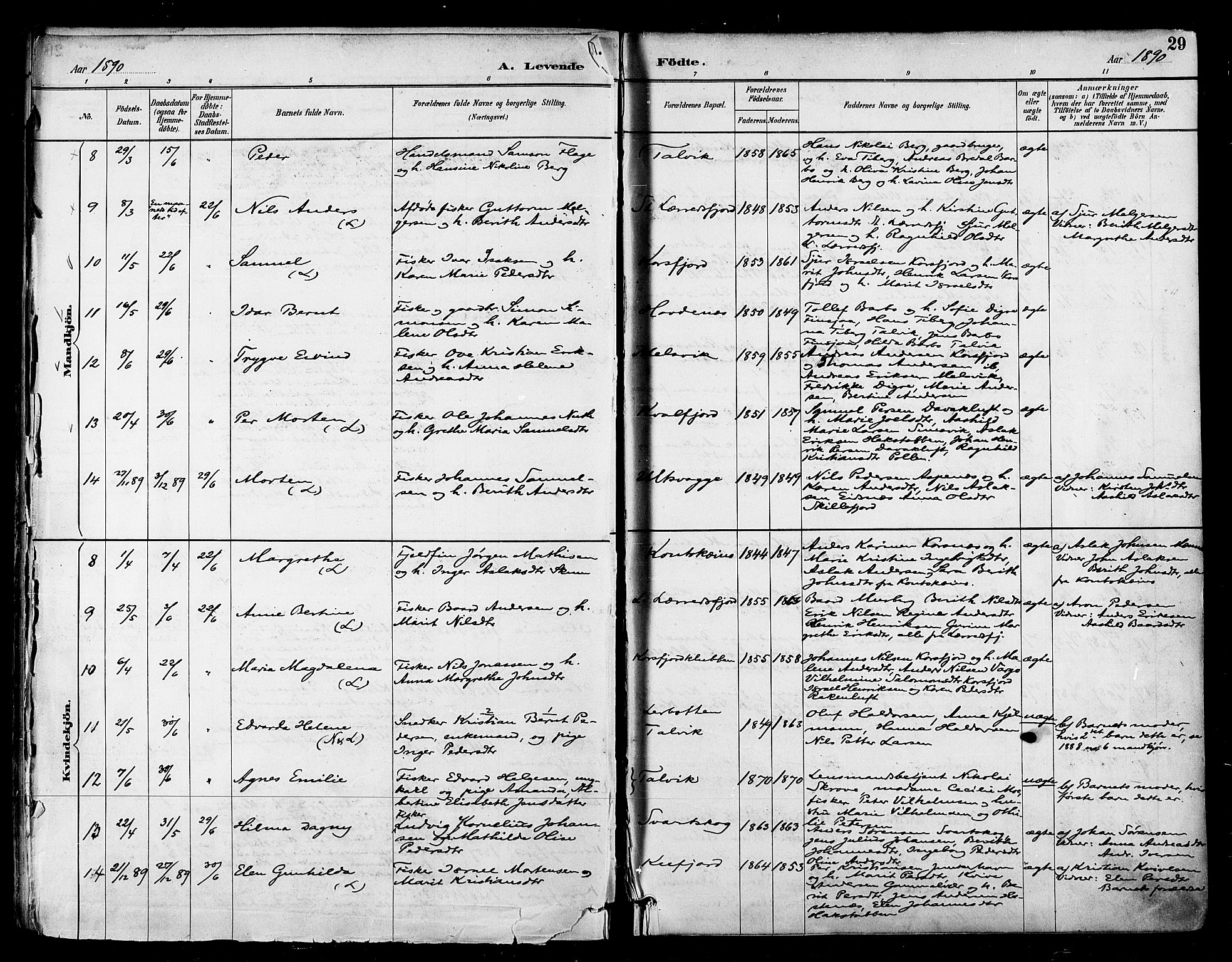 Talvik sokneprestkontor, SATØ/S-1337/H/Ha/L0013kirke: Parish register (official) no. 13, 1886-1897, p. 29