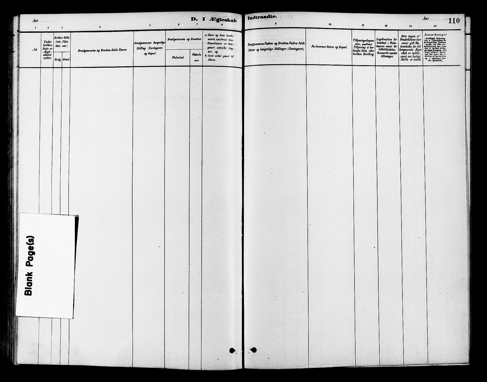 Flesberg kirkebøker, AV/SAKO-A-18/F/Fc/L0001: Parish register (official) no. III 1, 1879-1905, p. 110