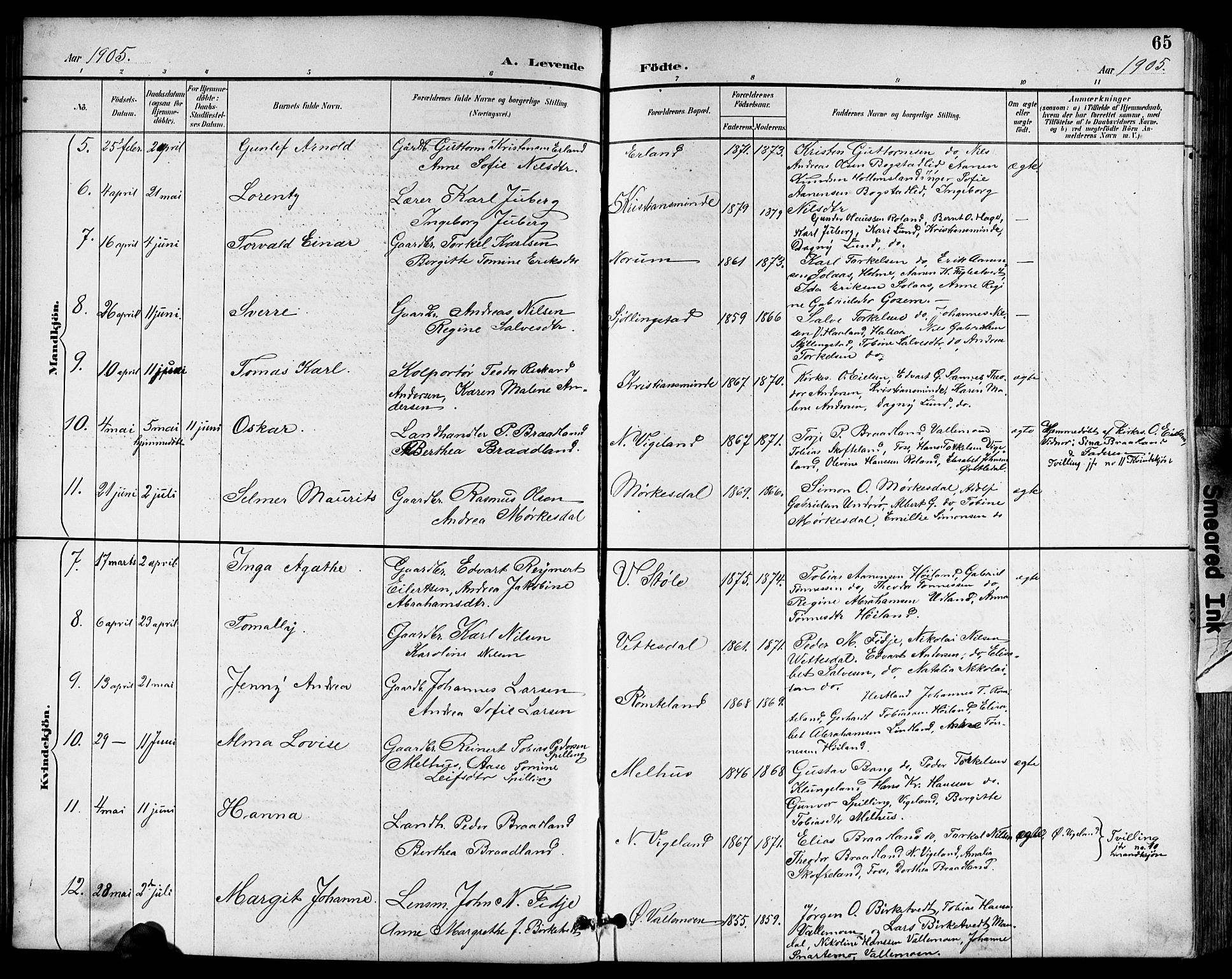 Sør-Audnedal sokneprestkontor, AV/SAK-1111-0039/F/Fb/Fbb/L0006: Parish register (copy) no. B 6, 1893-1915, p. 65