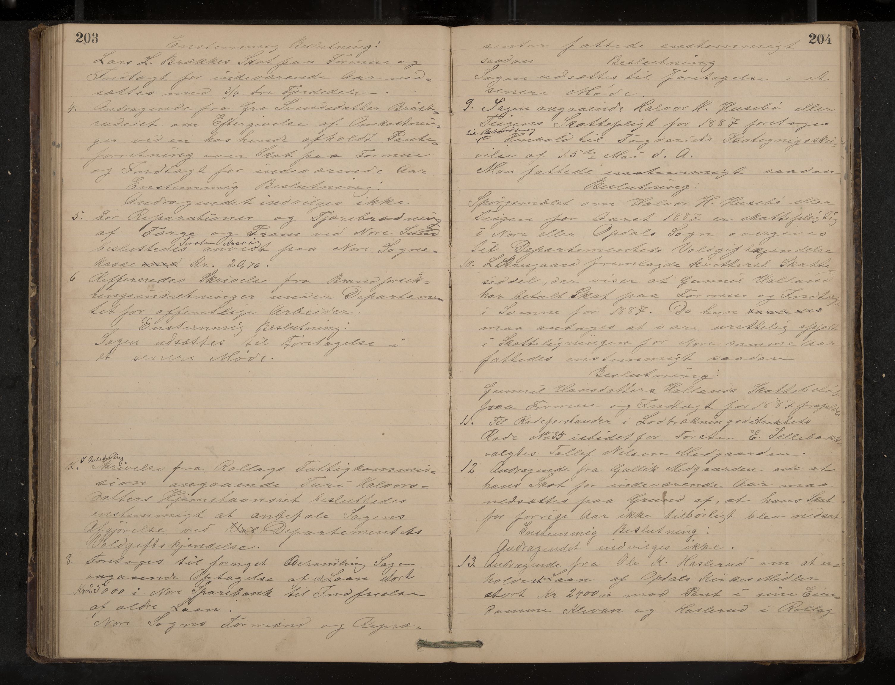 Nore og Uvdal formannskap, IKAK/0633021-1/A/L0002: Møtebok, 1883-1893, p. 203-204