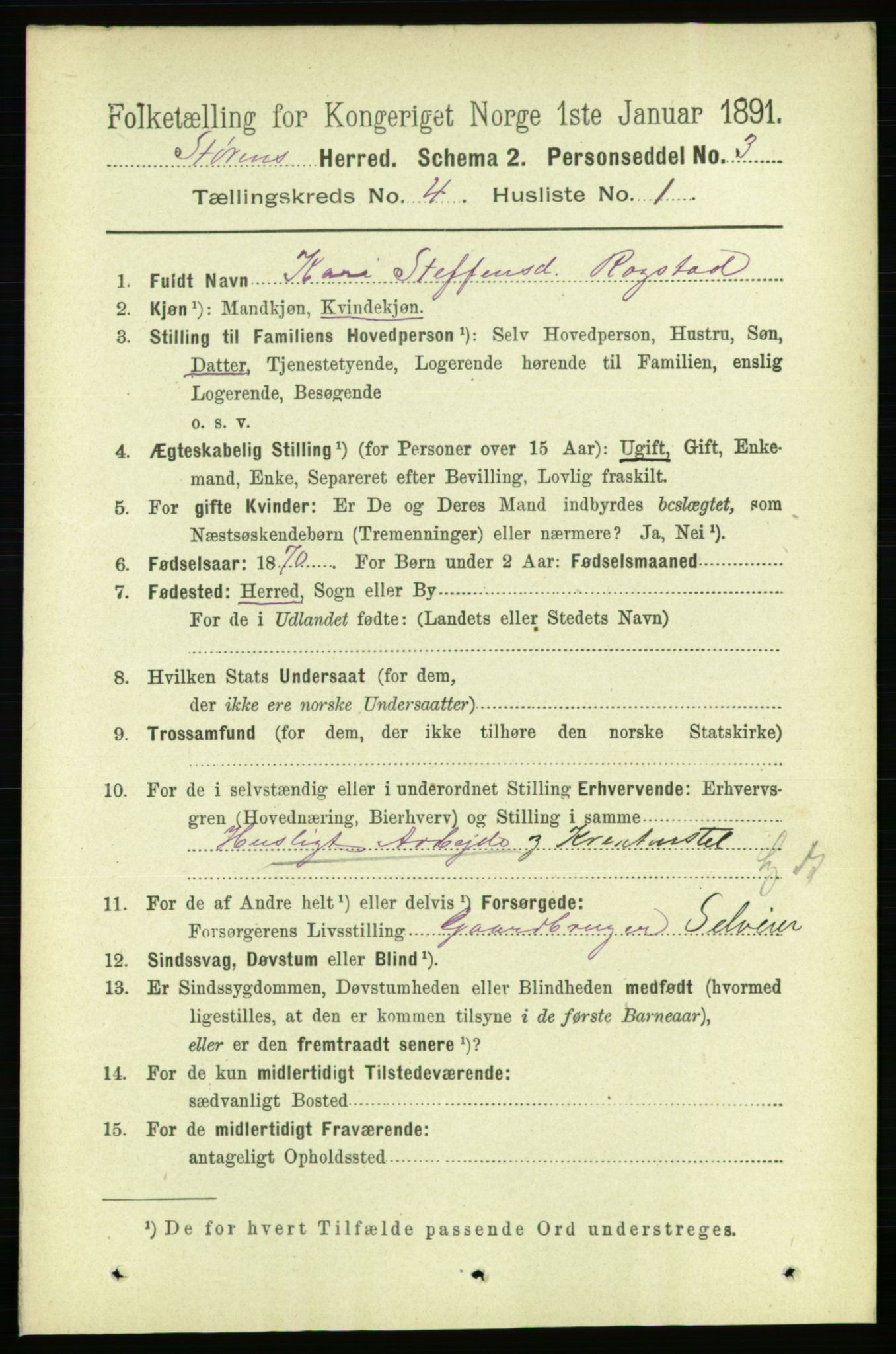 RA, 1891 census for 1648 Støren, 1891, p. 1293