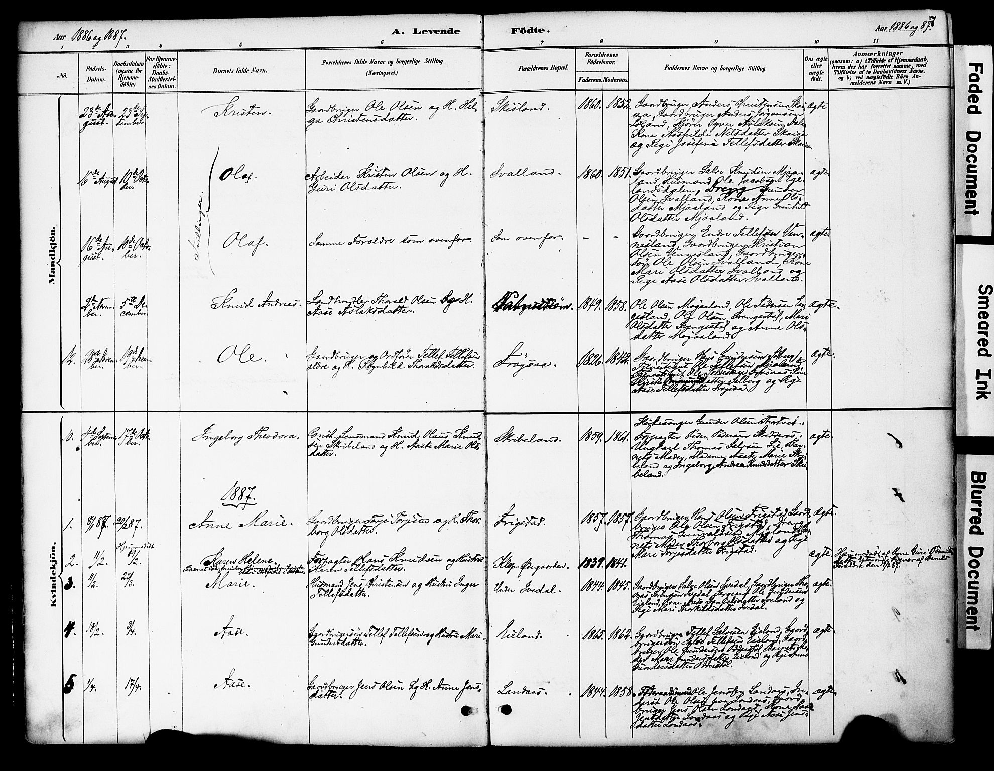 Evje sokneprestkontor, AV/SAK-1111-0008/F/Fa/Fac/L0003: Parish register (official) no. A 3, 1884-1909, p. 7