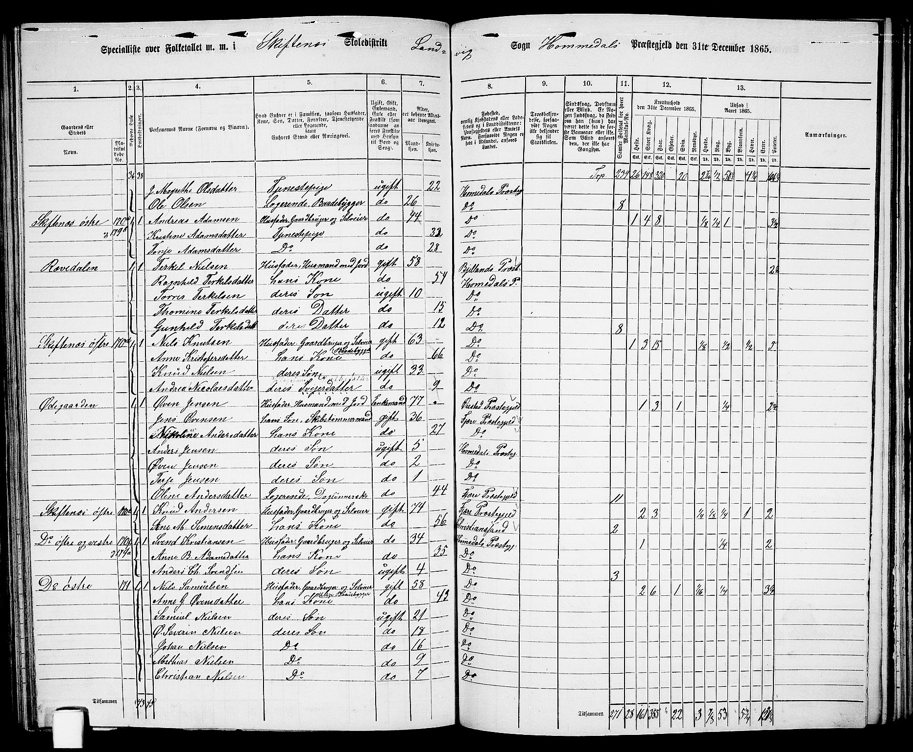 RA, 1865 census for Homedal, 1865, p. 133