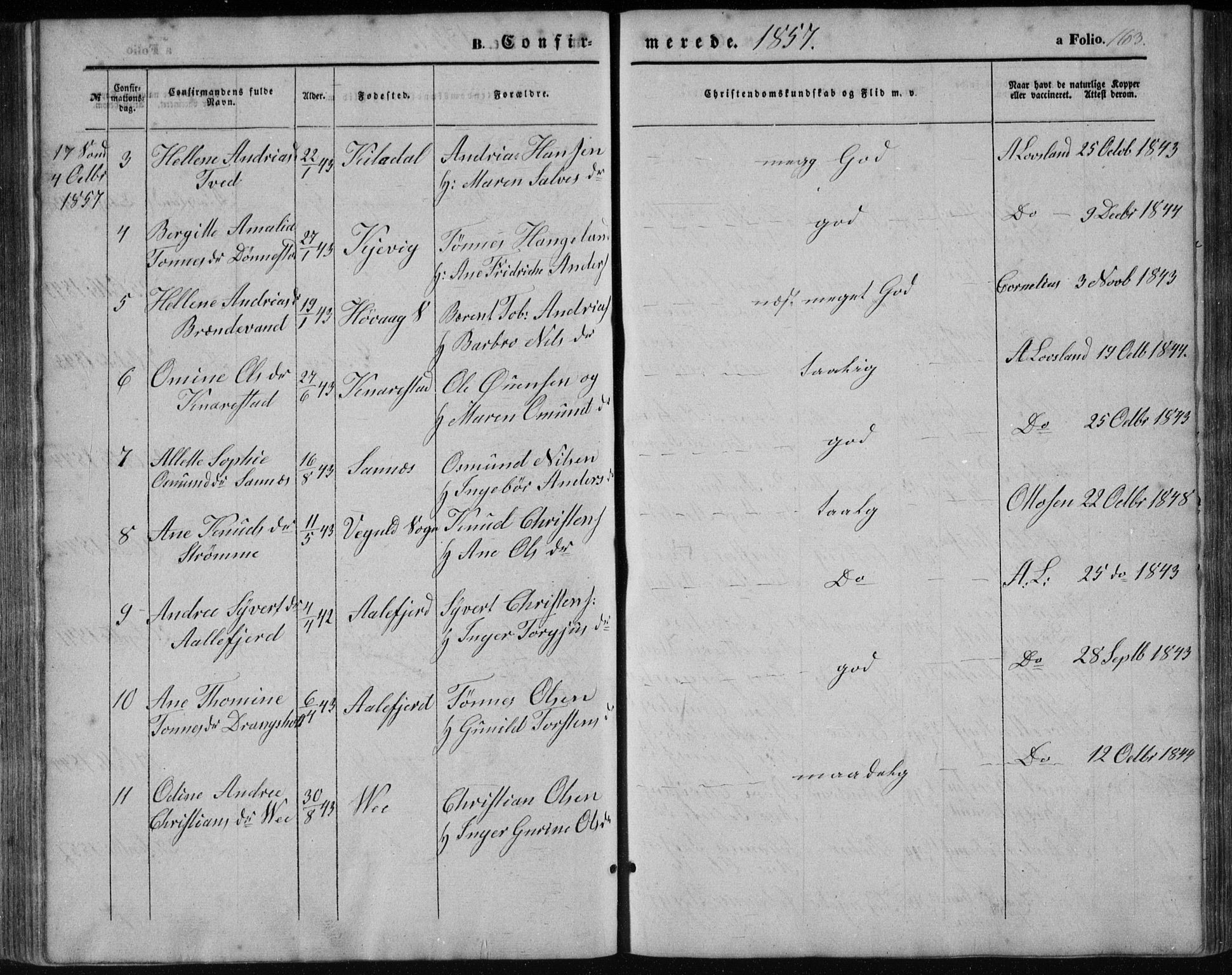 Tveit sokneprestkontor, AV/SAK-1111-0043/F/Fb/L0003: Parish register (copy) no. B 3, 1854-1886, p. 163