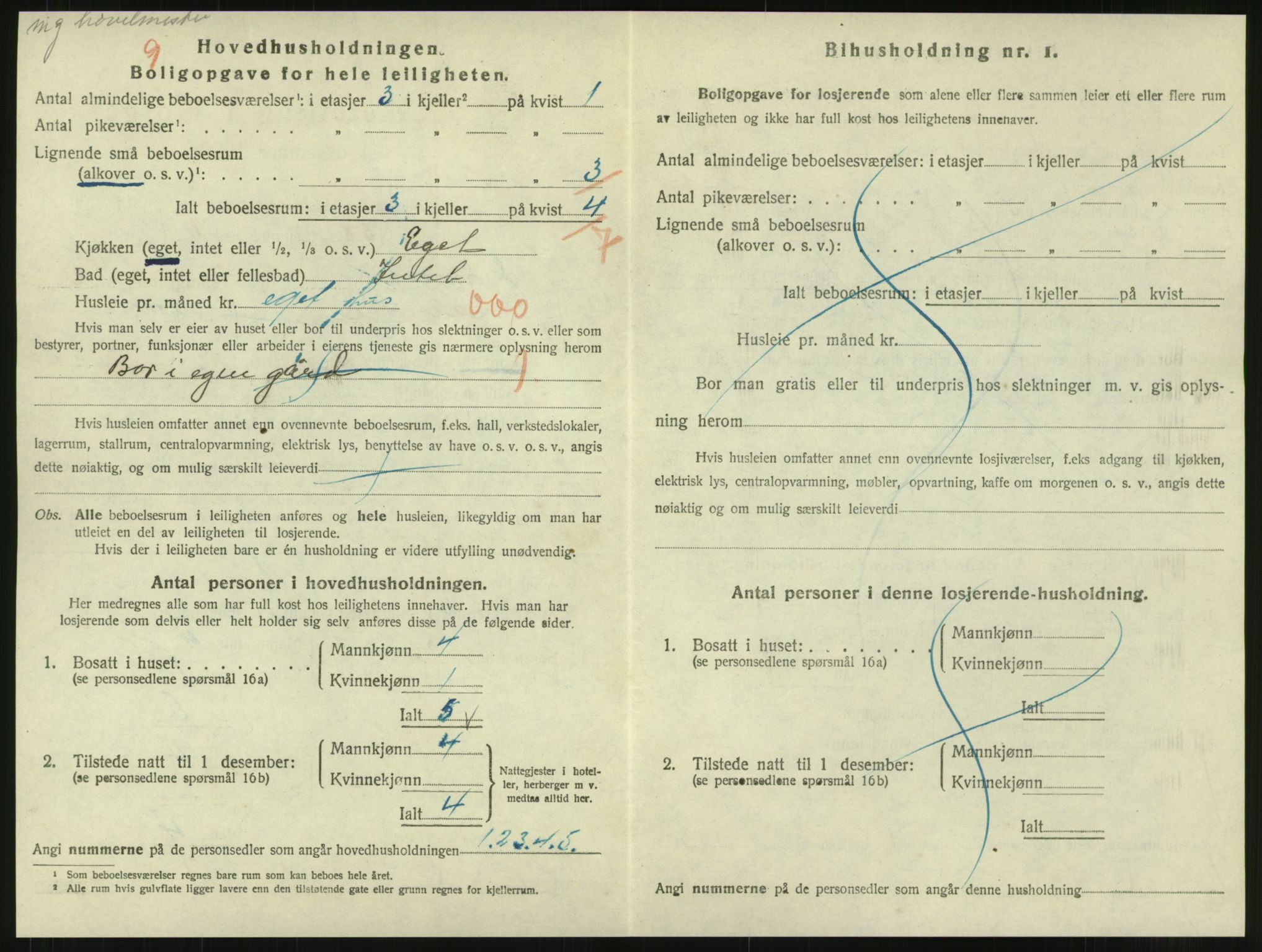 SAT, 1920 census for Namsos, 1920, p. 1996