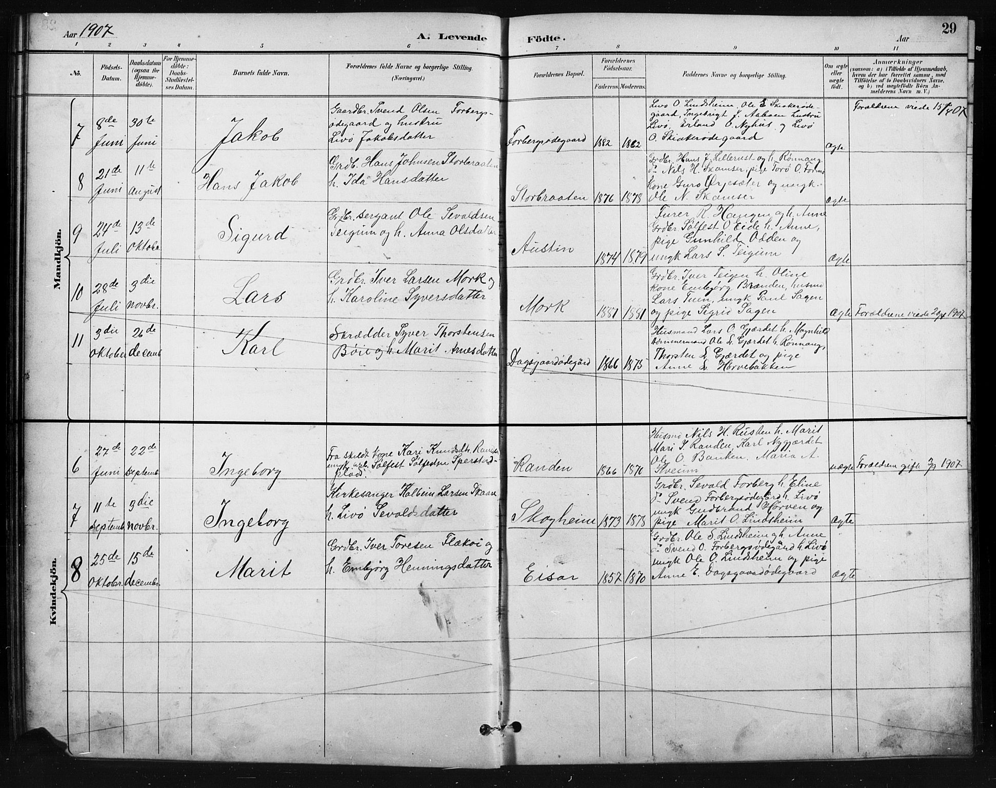 Skjåk prestekontor, SAH/PREST-072/H/Ha/Hab/L0004: Parish register (copy) no. 4, 1895-1921, p. 29