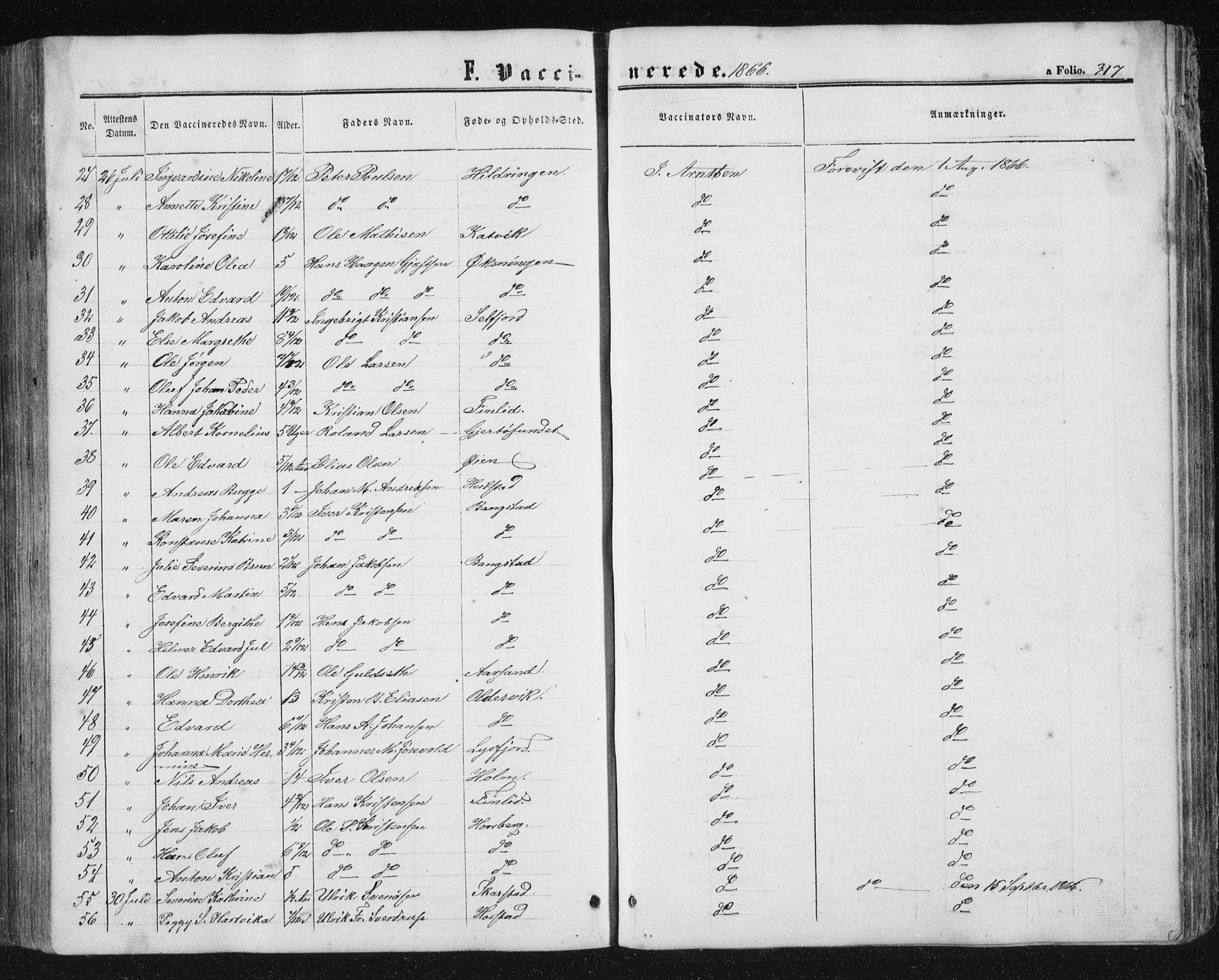 Ministerialprotokoller, klokkerbøker og fødselsregistre - Nordland, AV/SAT-A-1459/810/L0158: Parish register (copy) no. 810C02 /1, 1863-1883, p. 317