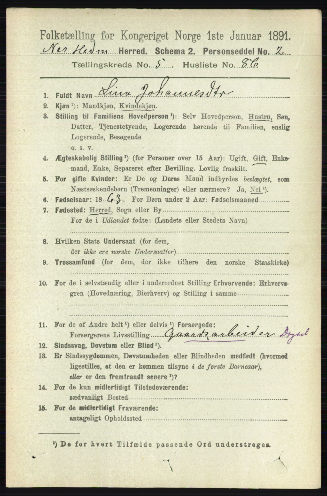 RA, 1891 census for 0411 Nes, 1891, p. 3163