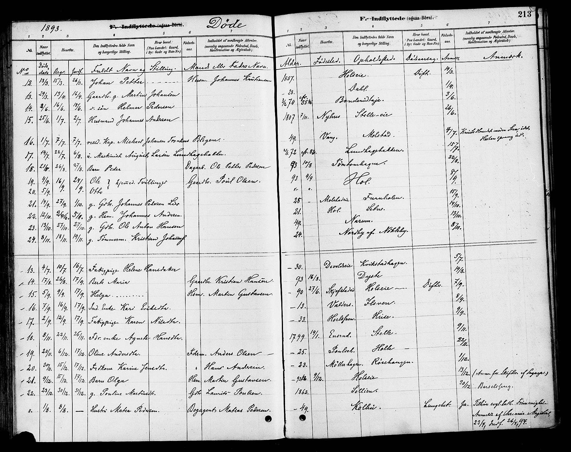 Vestre Toten prestekontor, SAH/PREST-108/H/Ha/Haa/L0010: Parish register (official) no. 10, 1878-1894, p. 213