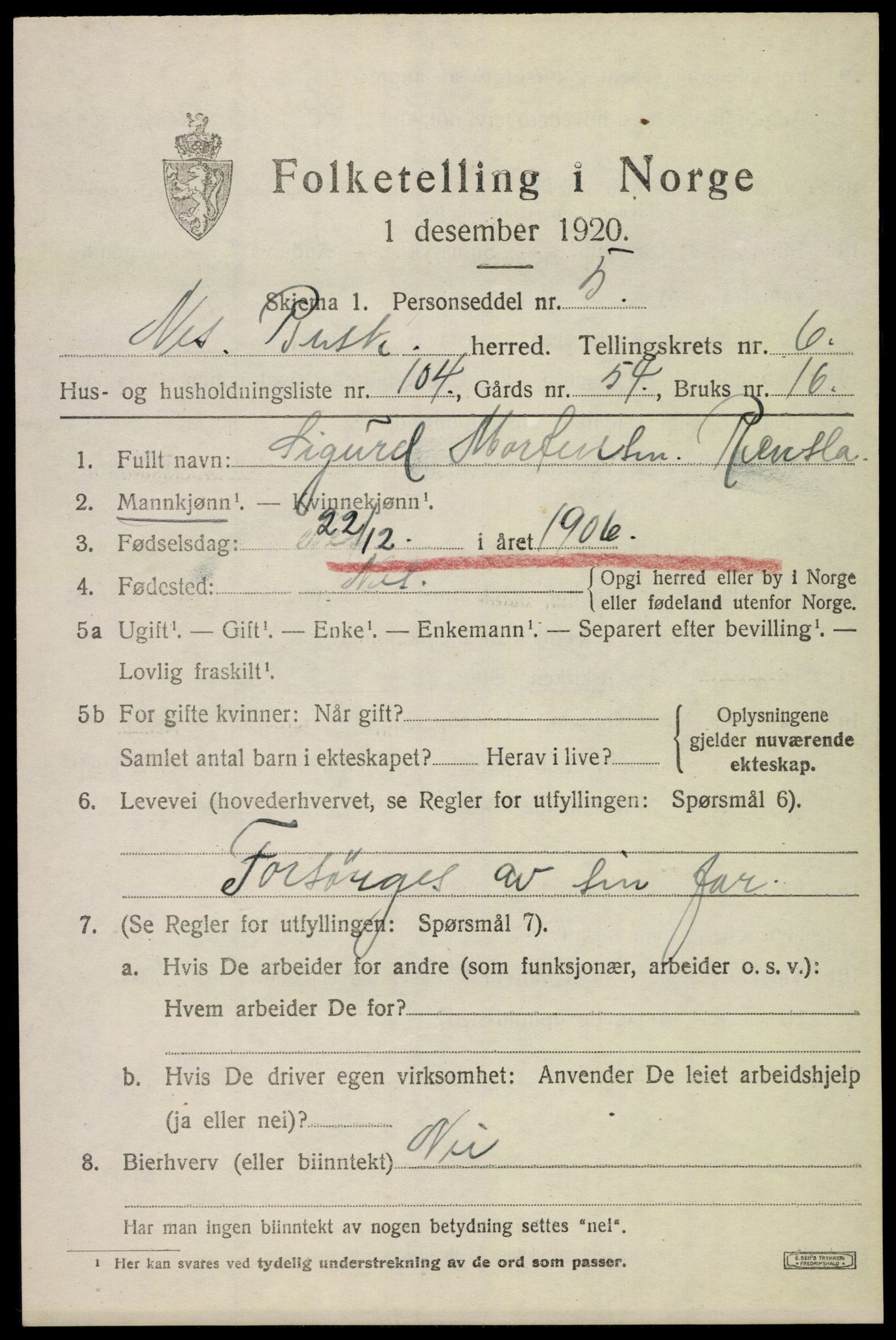 SAKO, 1920 census for Nes (Buskerud), 1920, p. 4322