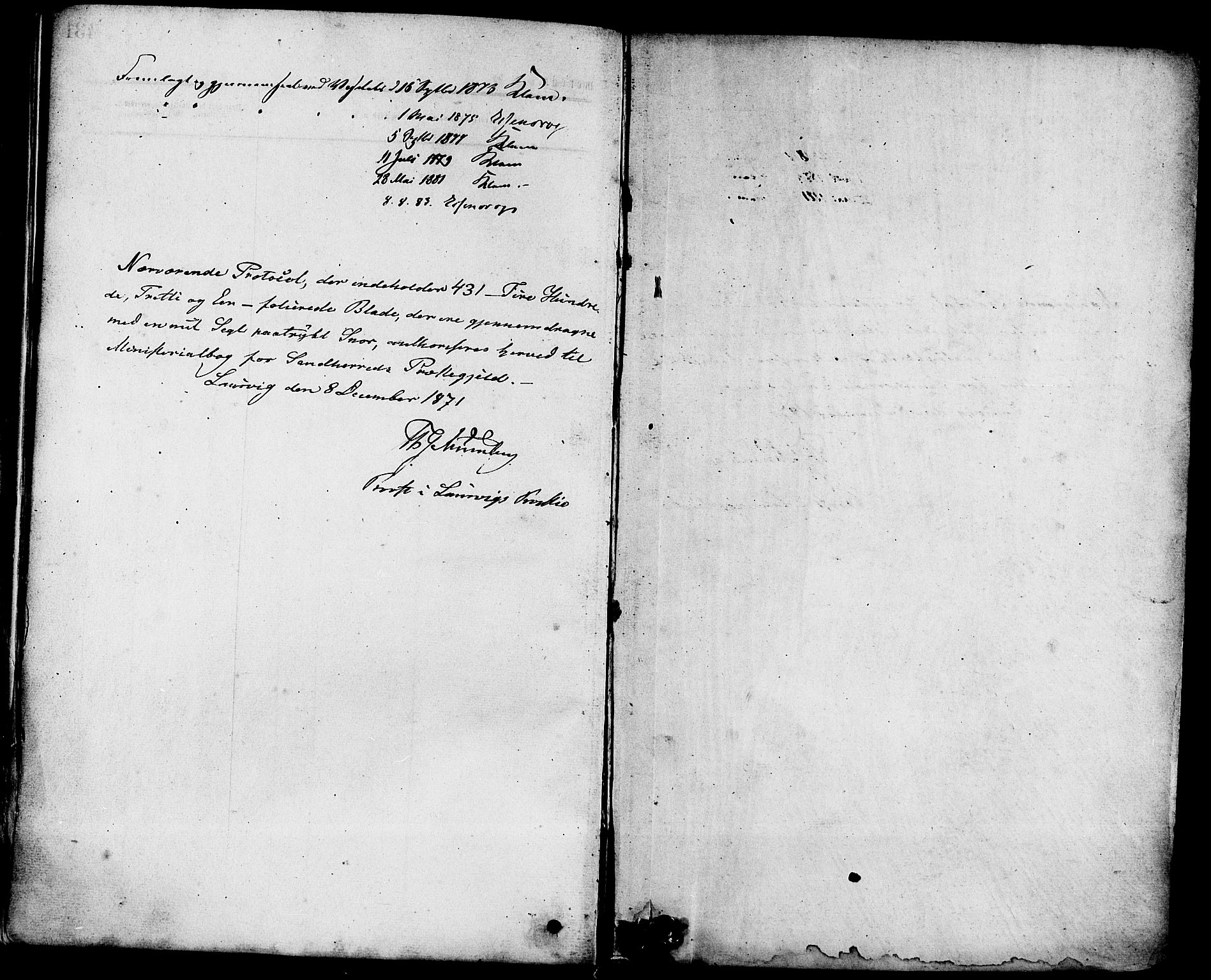 Sandar kirkebøker, SAKO/A-243/F/Fa/L0010: Parish register (official) no. 10, 1872-1882