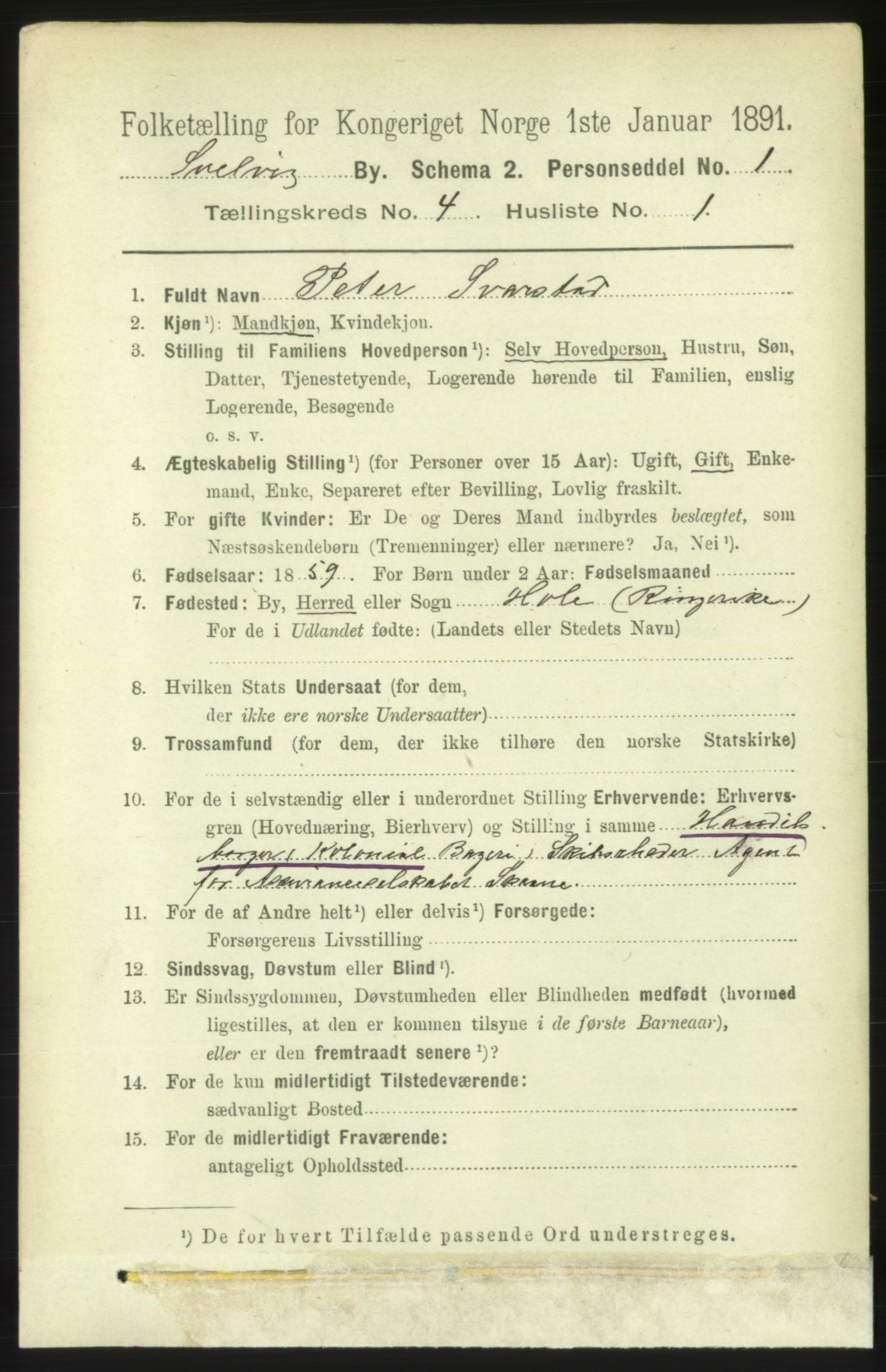 RA, 1891 census for 0701 Svelvik, 1891, p. 1602