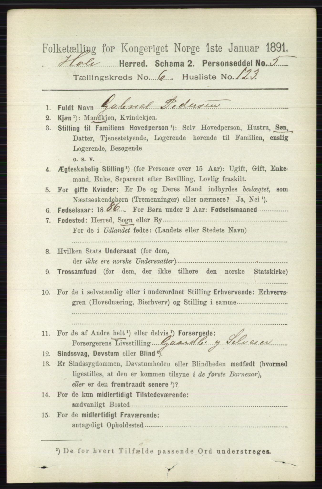 RA, 1891 census for 0612 Hole, 1891, p. 3871