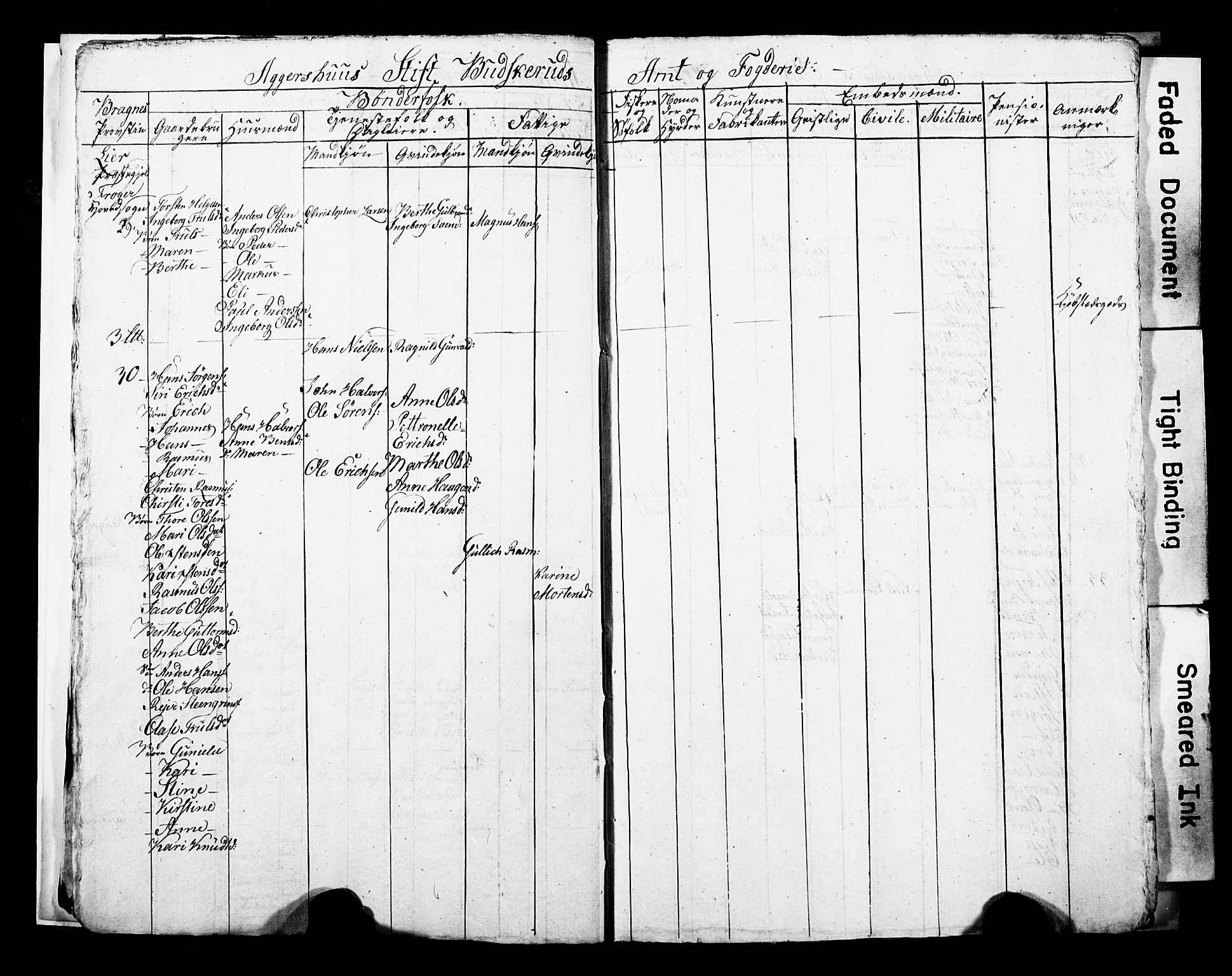 SAKO, 1815 Census for Lier parish, 1815, p. 8