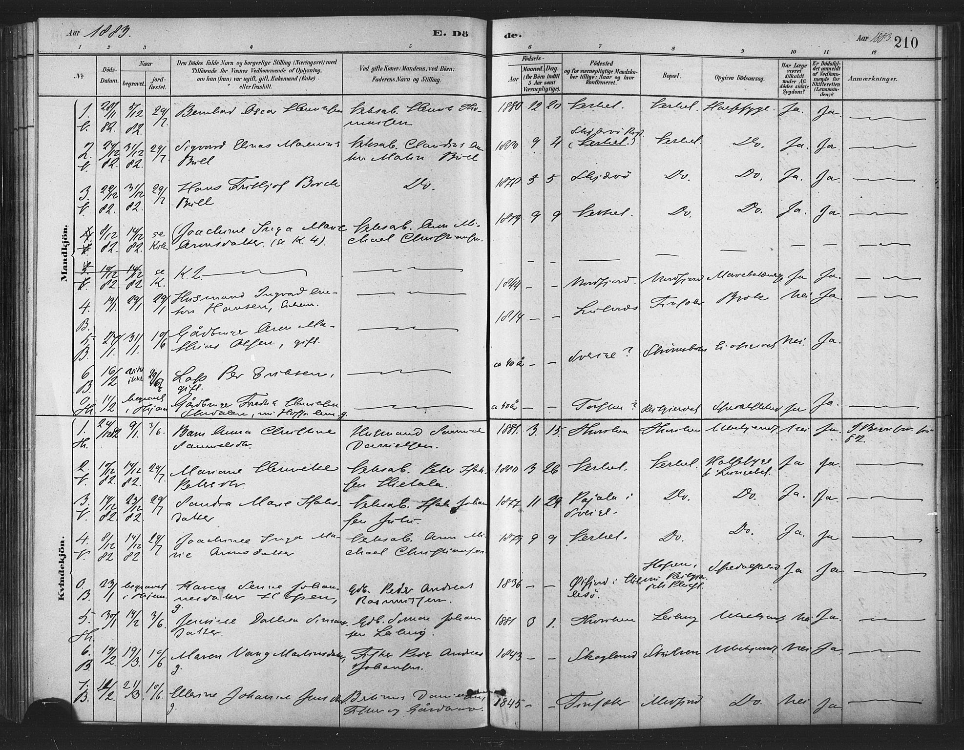 Berg sokneprestkontor, SATØ/S-1318/G/Ga/Gaa/L0004kirke: Parish register (official) no. 4, 1880-1894, p. 210