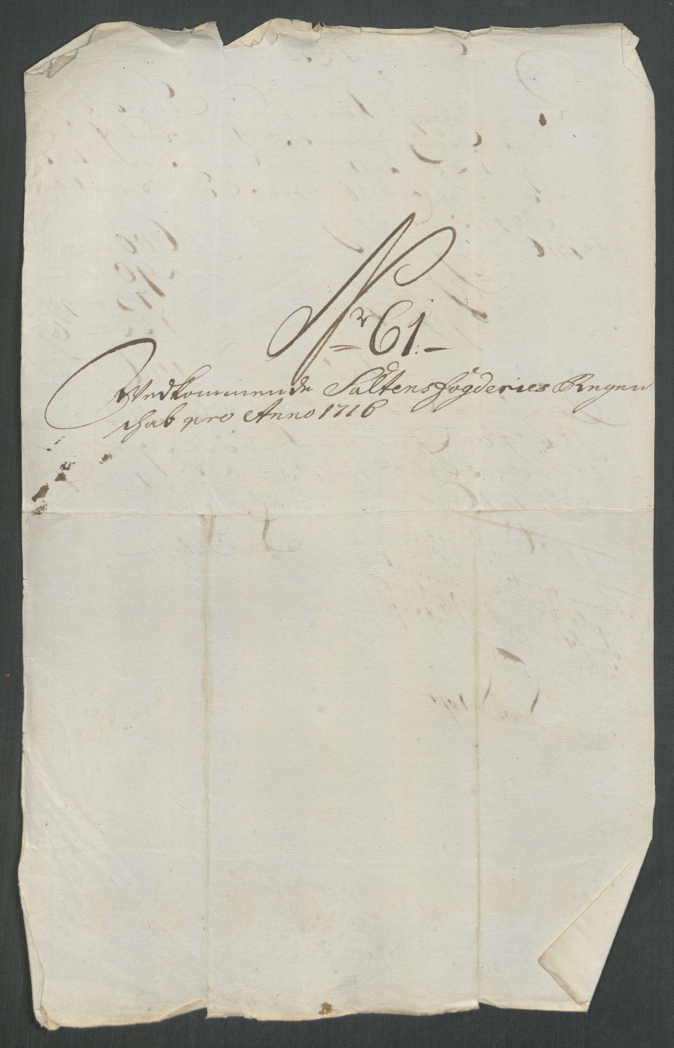 Rentekammeret inntil 1814, Reviderte regnskaper, Fogderegnskap, AV/RA-EA-4092/R66/L4586: Fogderegnskap Salten, 1716, p. 290