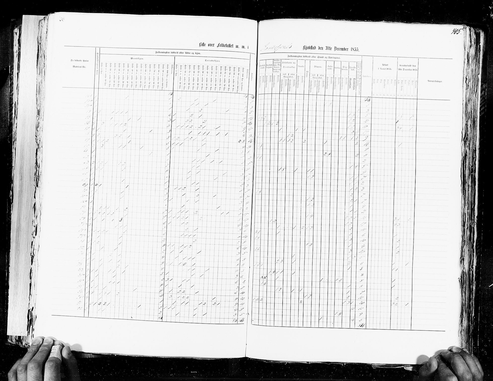 RA, Census 1855, vol. 7: Fredrikshald-Kragerø, 1855, p. 405