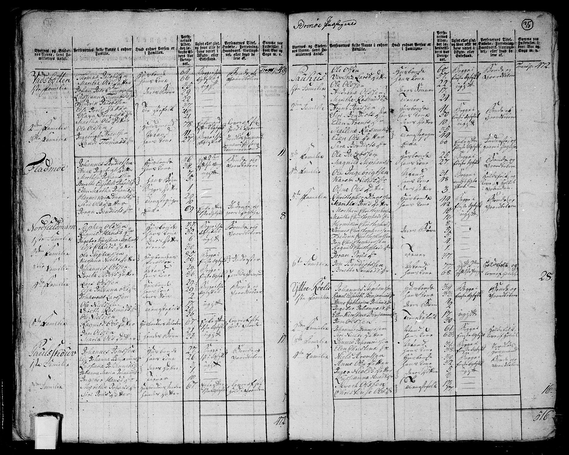 RA, 1801 census for 1814P Brønnøy, 1801, p. 34b-35a