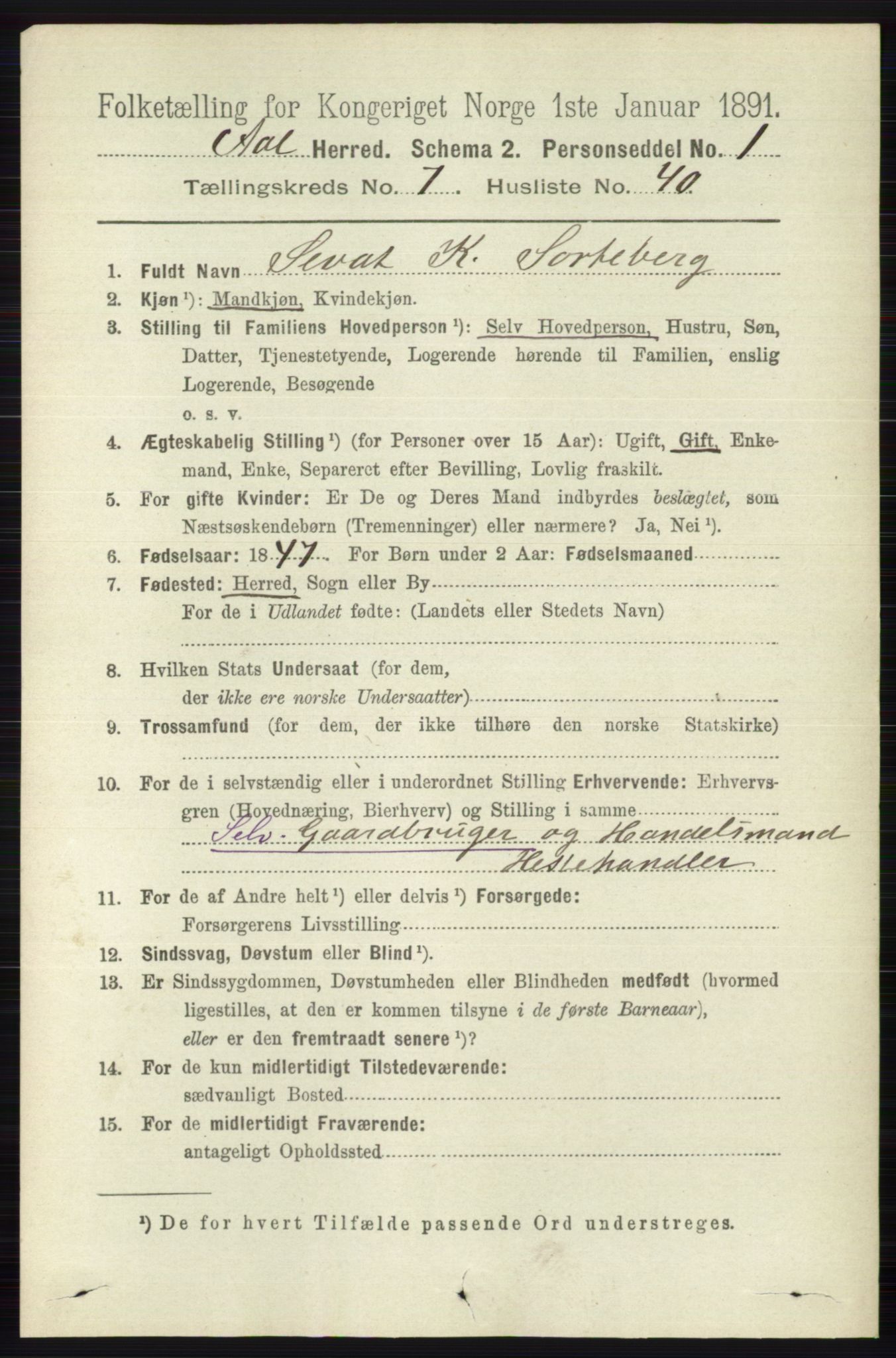 RA, 1891 census for 0619 Ål, 1891, p. 2004